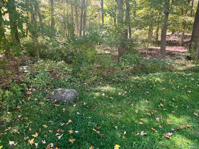 Lot 16 Buttonwood Avenue, Cortlandt Manor, NY 10567