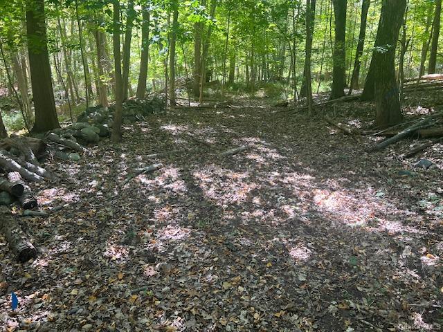Lot 16 Buttonwood Avenue, Cortlandt Manor, NY 10567