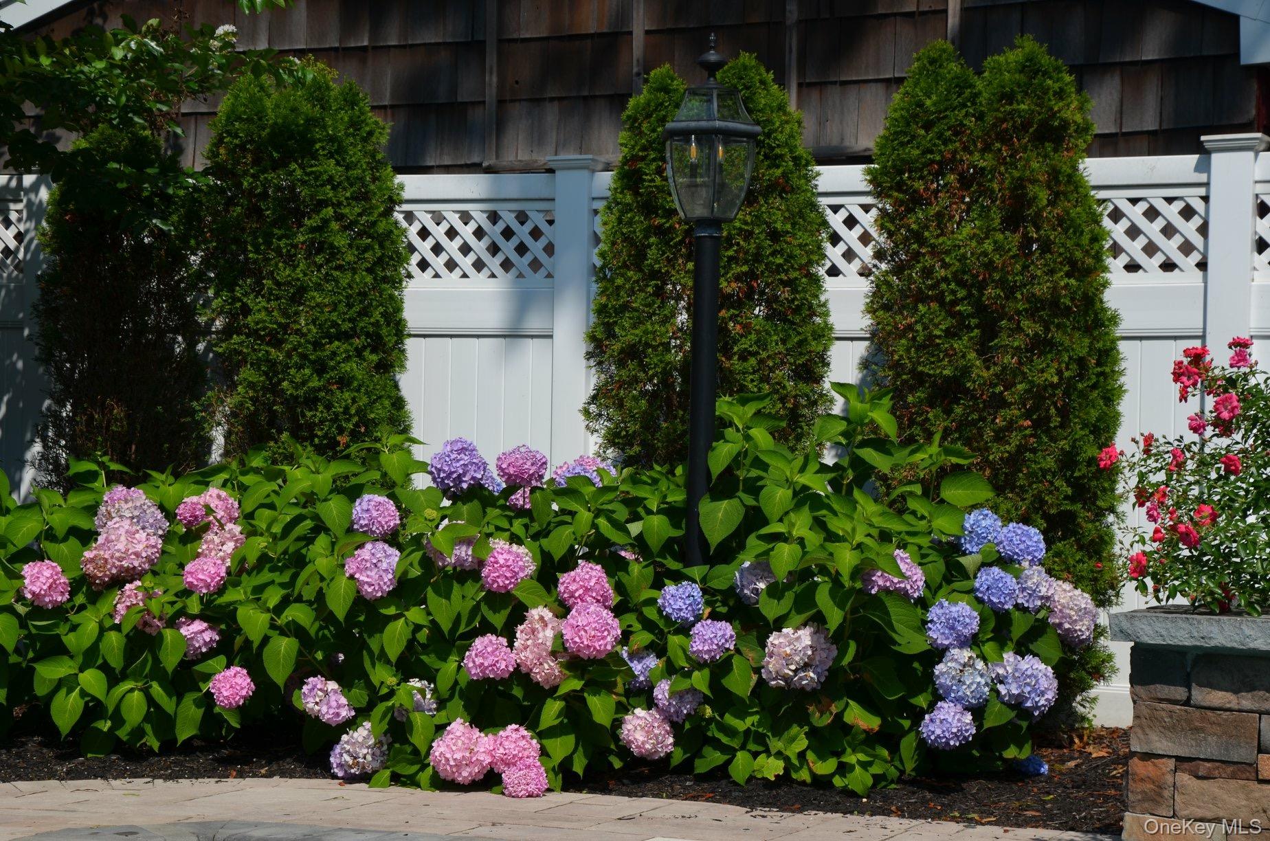 11 S Marion Place, Rockville Centre, NY 11570