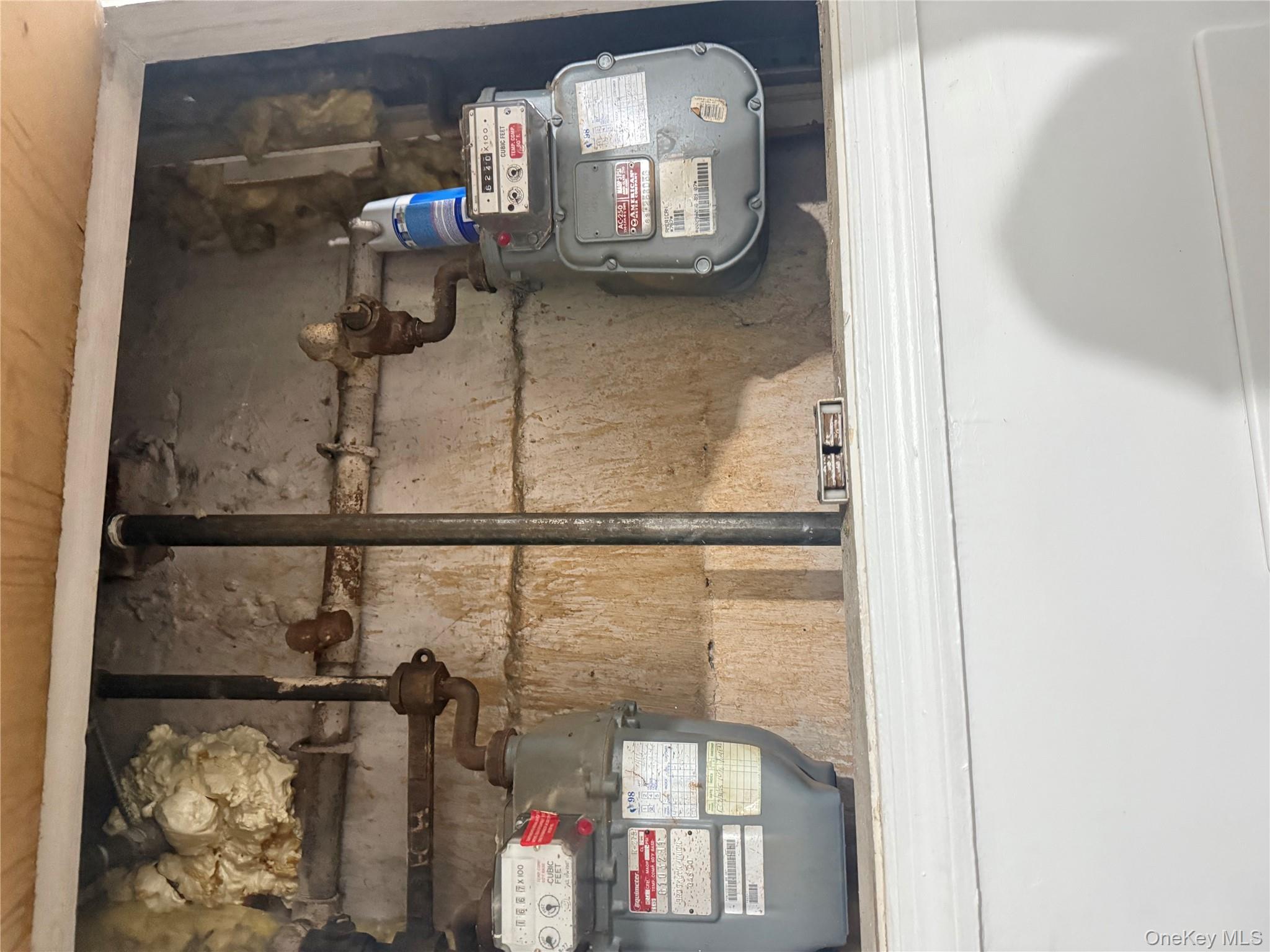 273 Grant Avenue, Brooklyn, NY 11208