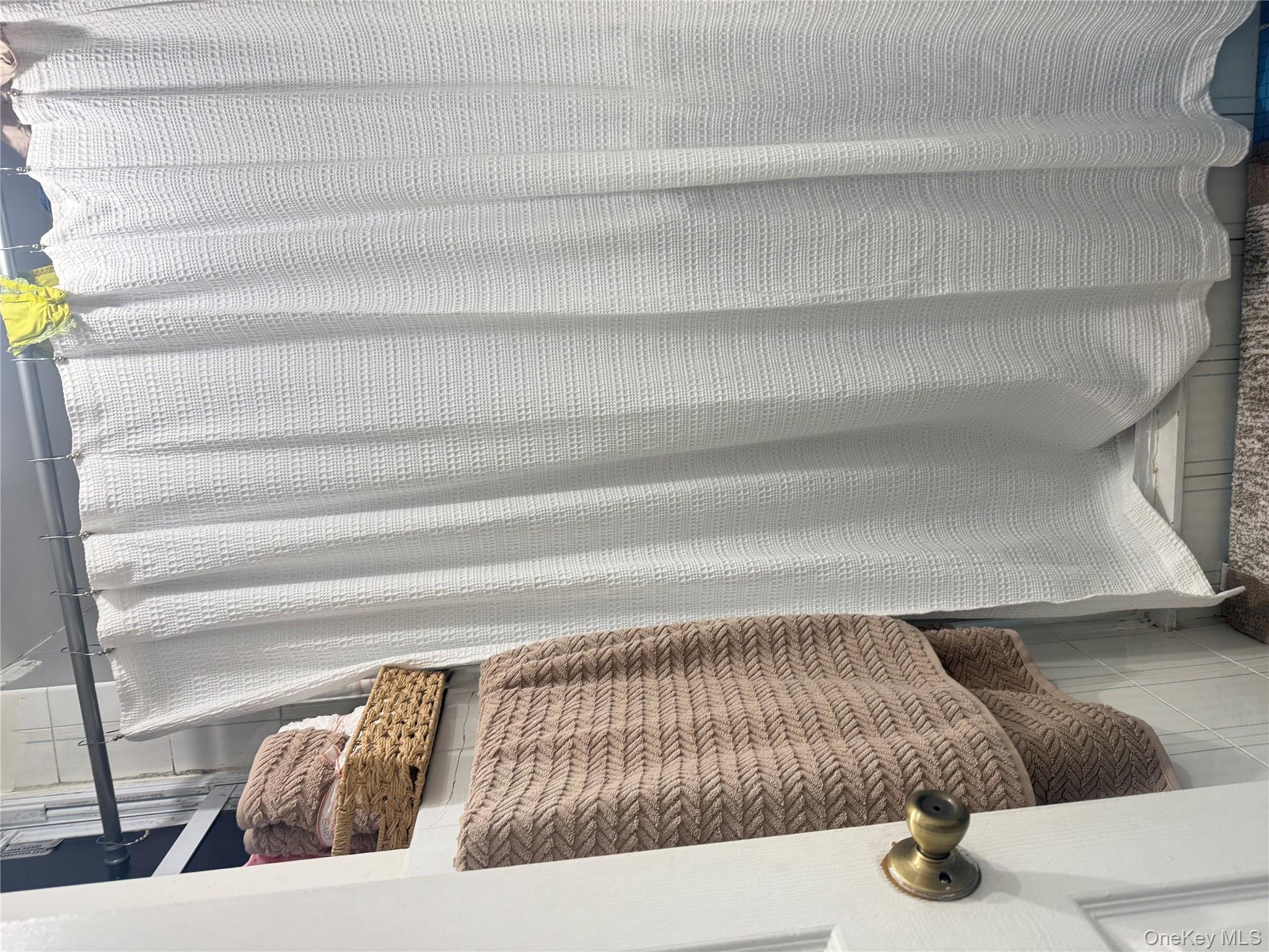 273 Grant Avenue, Brooklyn, NY 11208