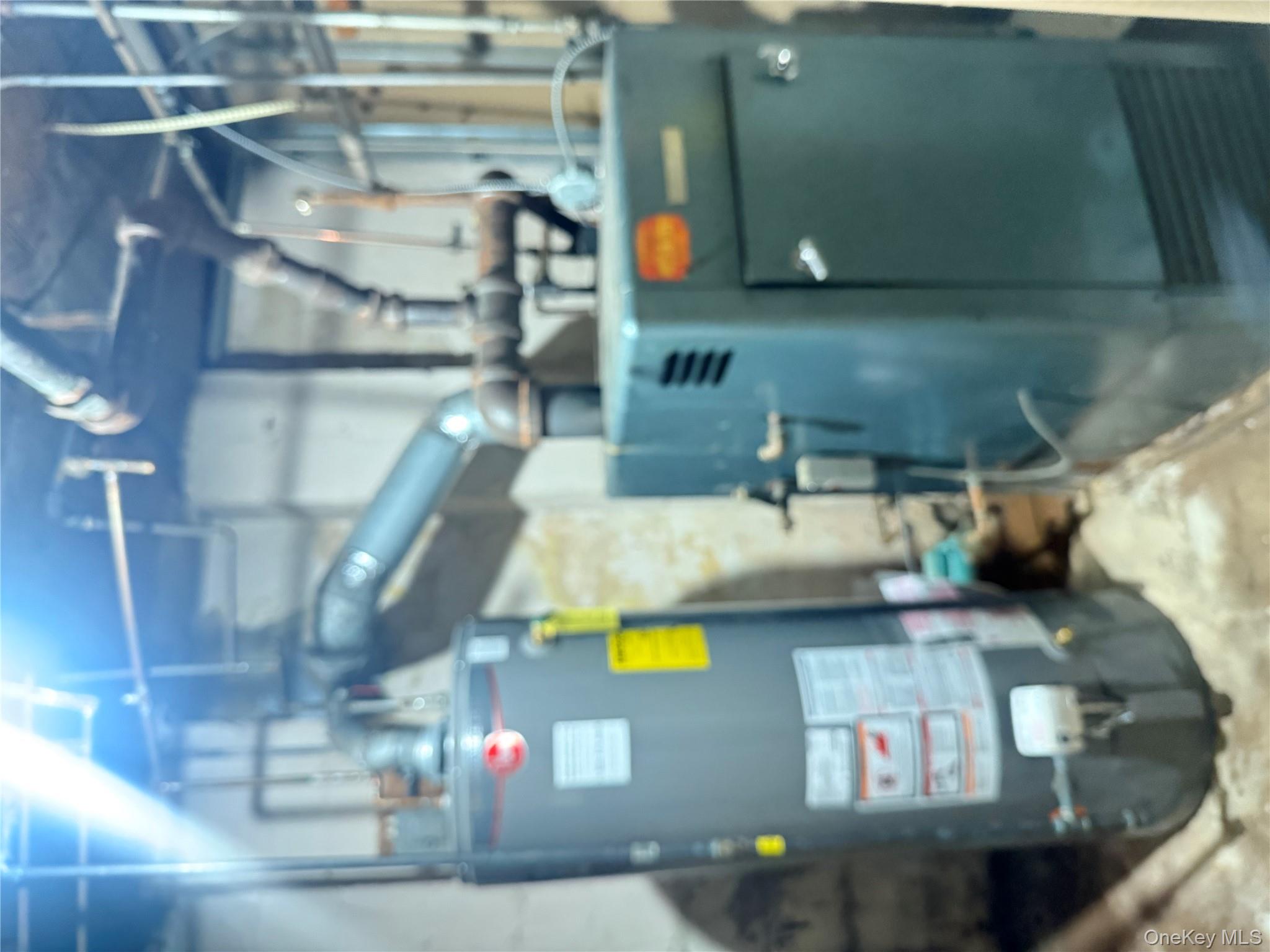 273 Grant Avenue, Brooklyn, NY 11208