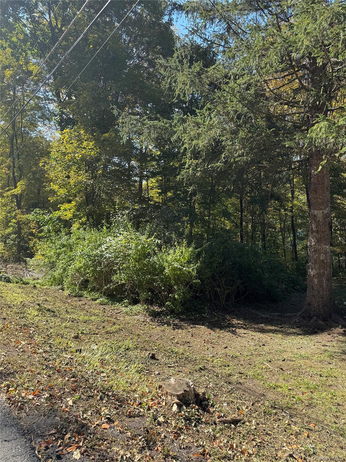 9 Park Road, Carmel, NY 10512