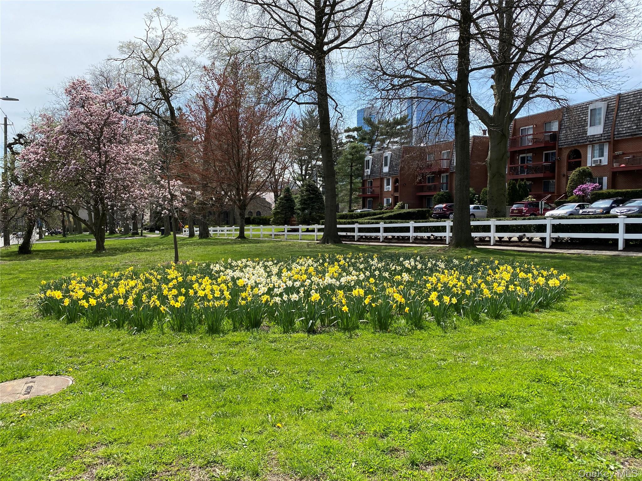 55 N Broadway # 3-1, White Plains, NY 10601