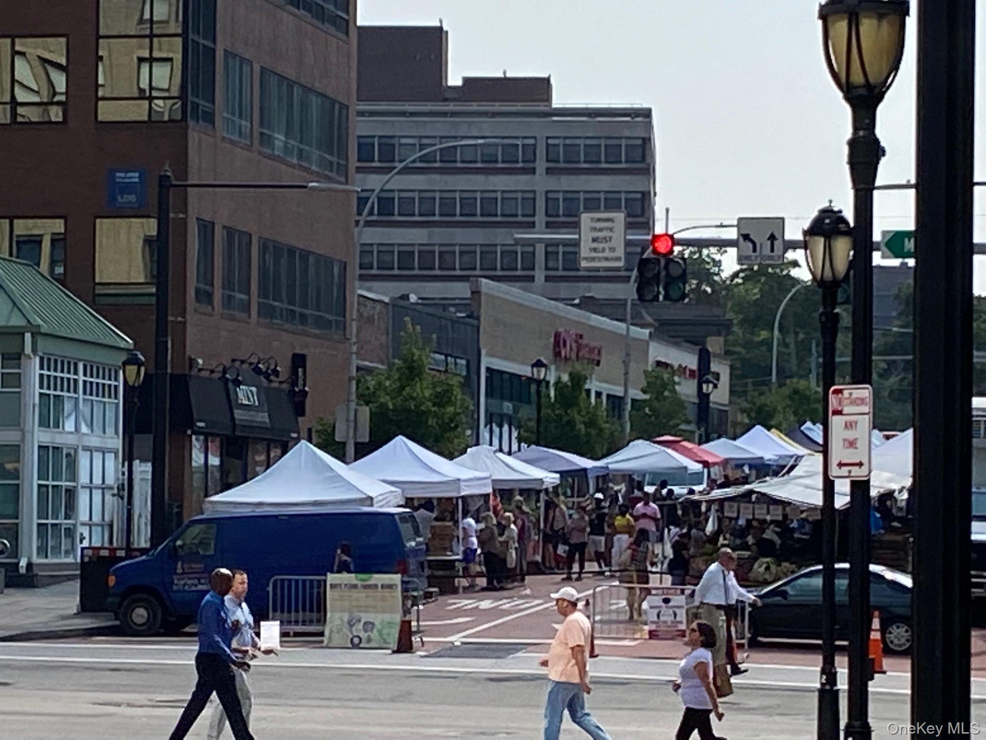 55 N Broadway # 3-1, White Plains, NY 10601