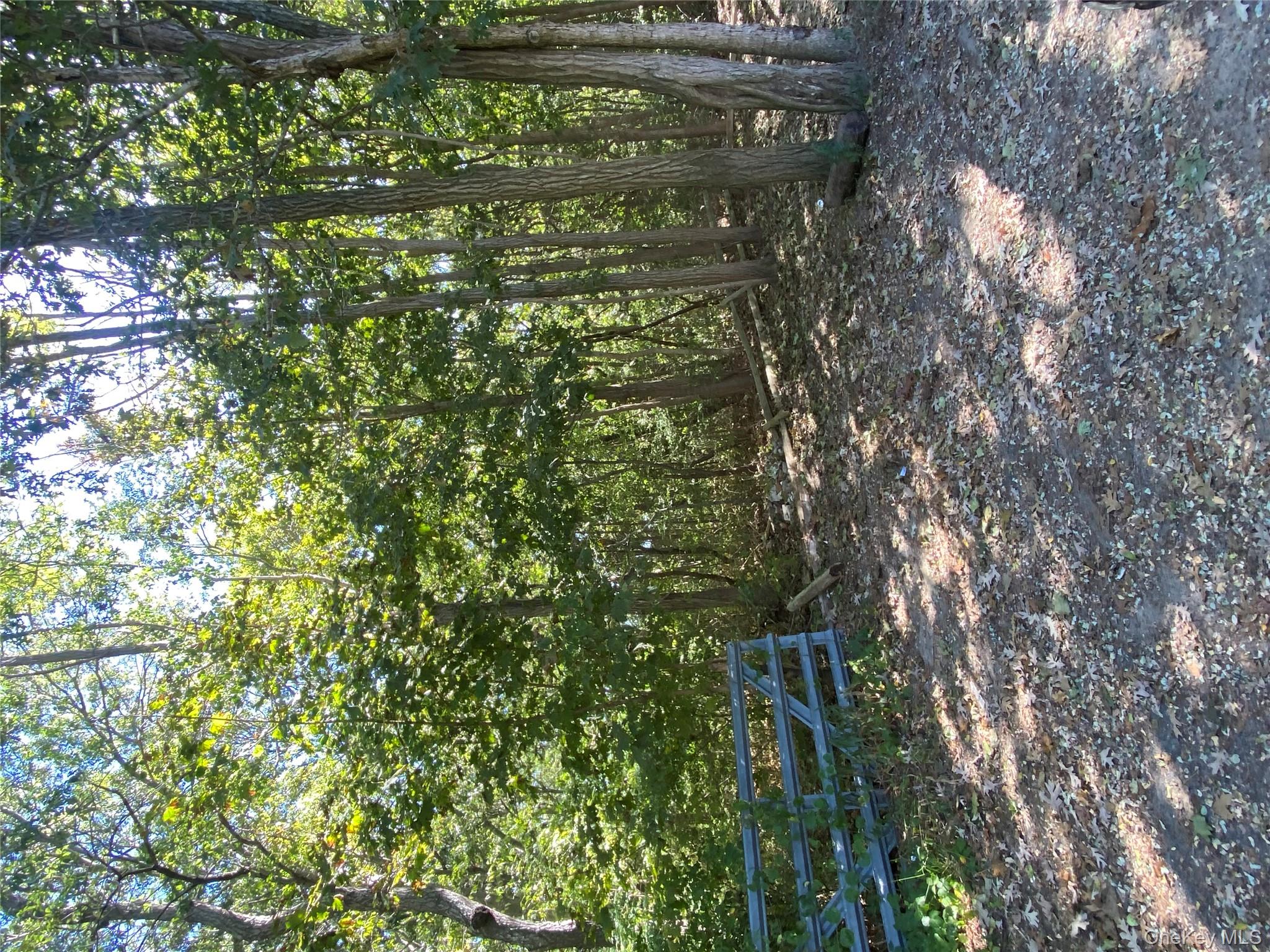 N Ocean Avenue, Patchogue, NY 11772