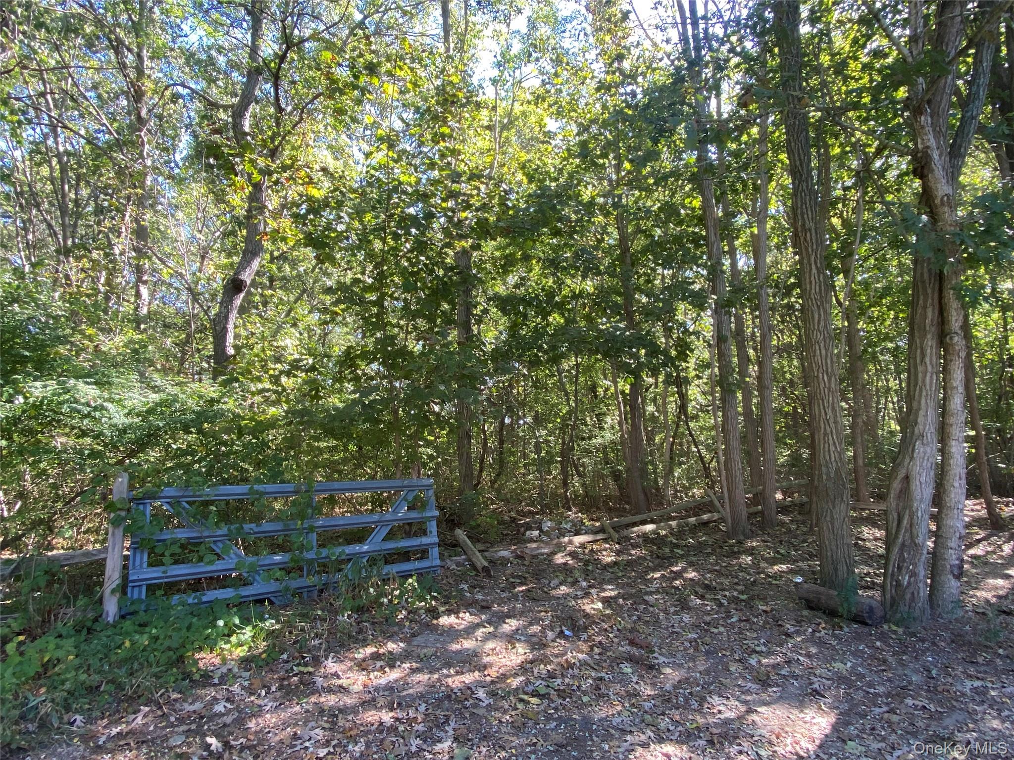 N Ocean Avenue, Patchogue, NY 11772