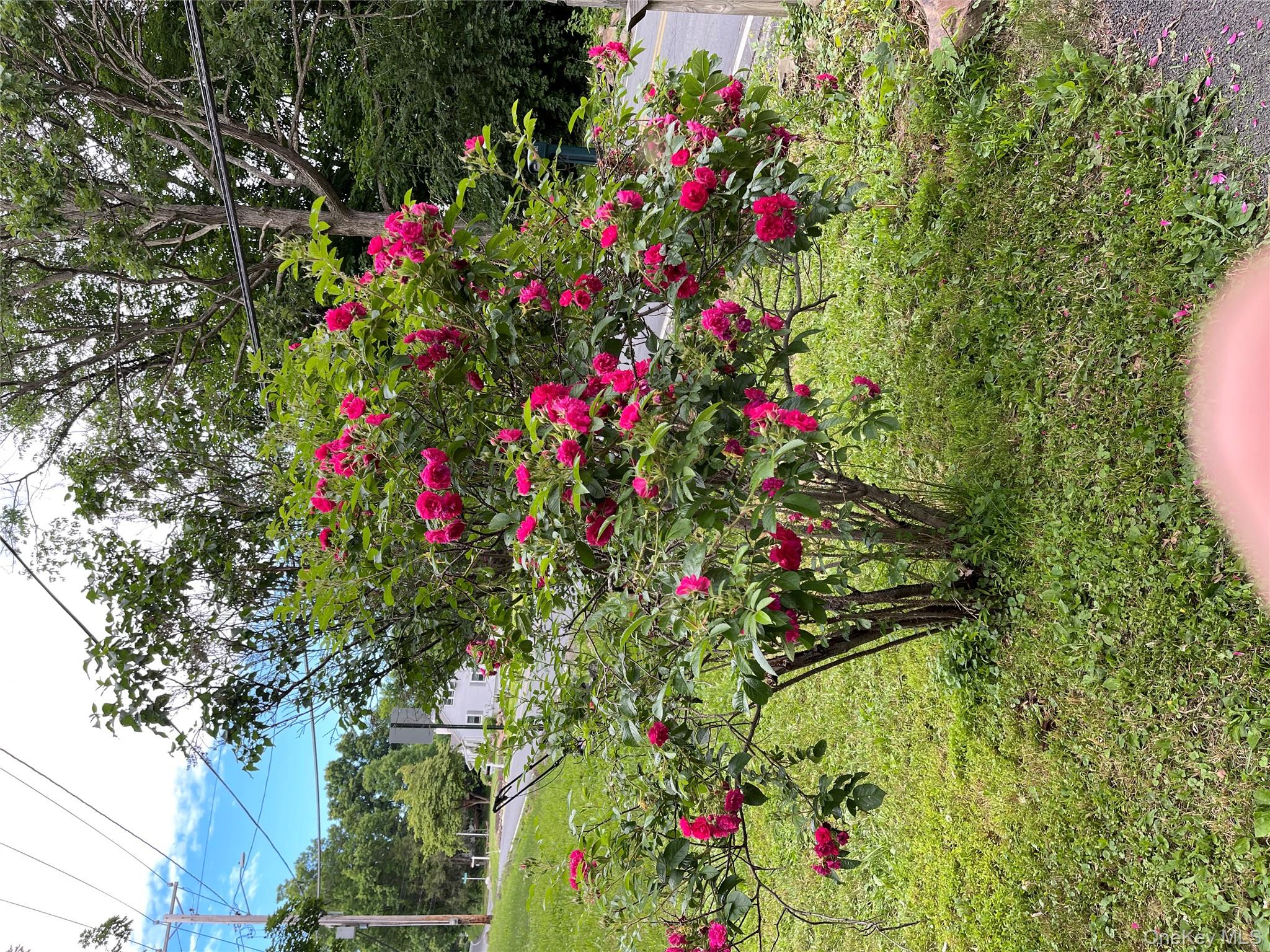 257 Lake Road, Salisbury Mills, NY 12577