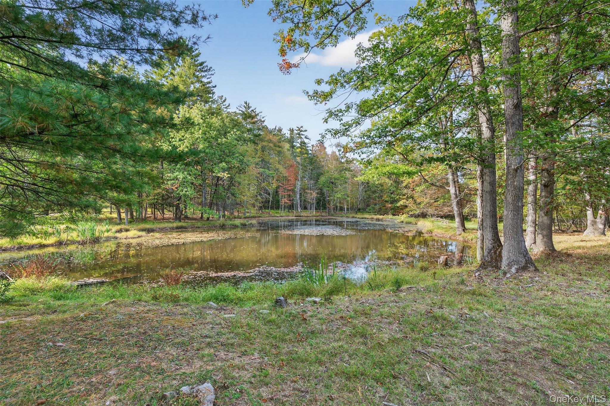 55 Ginger Road, High Falls, NY 12440