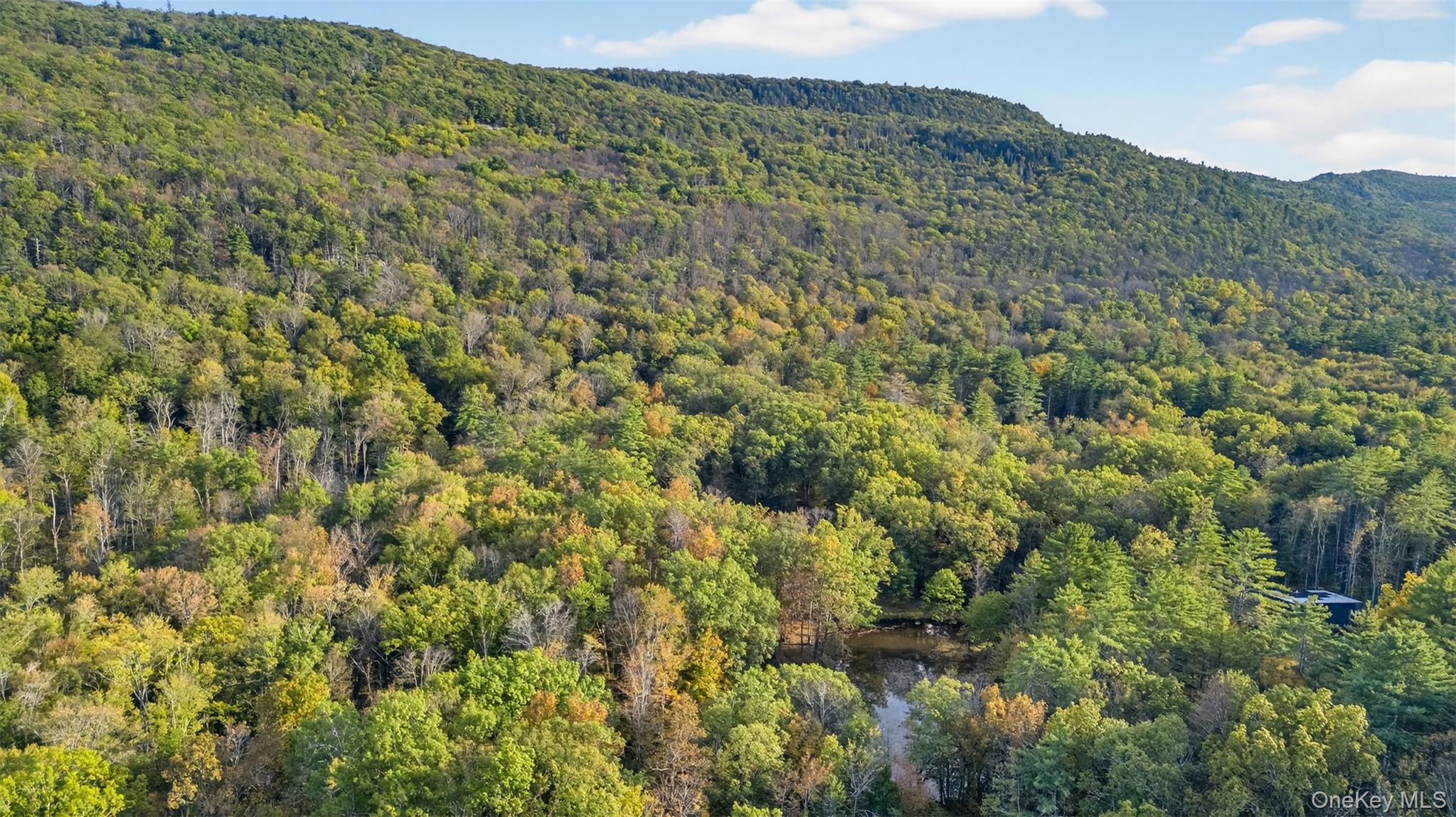 55 Ginger Road, High Falls, NY 12440