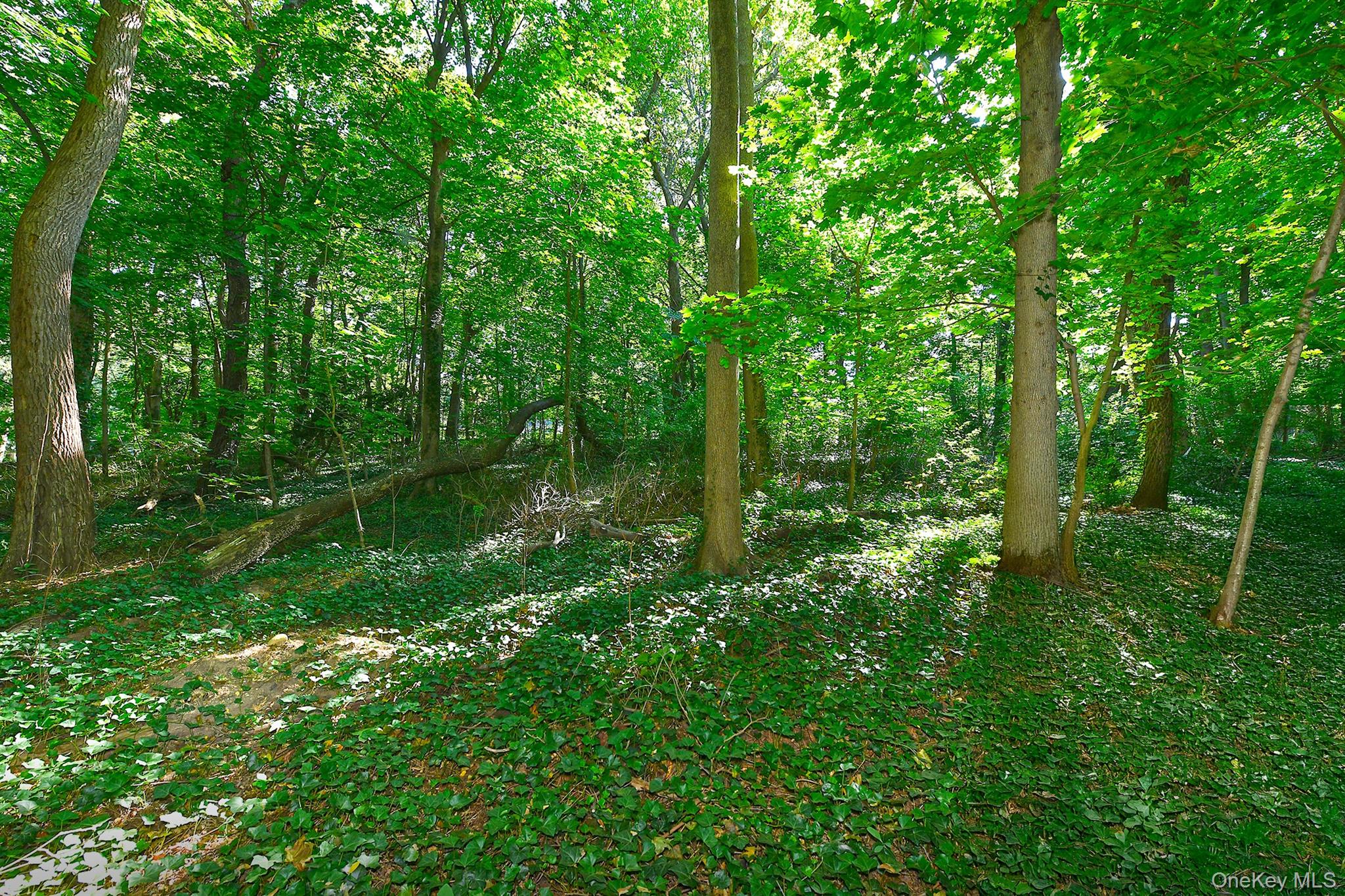 42 Flower Hill Road, Huntington, NY 11743