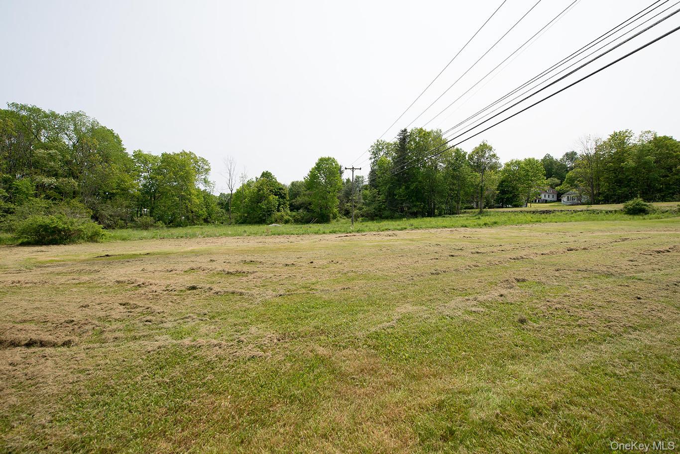 1132 Old Route 17, Ferndale, NY 12734