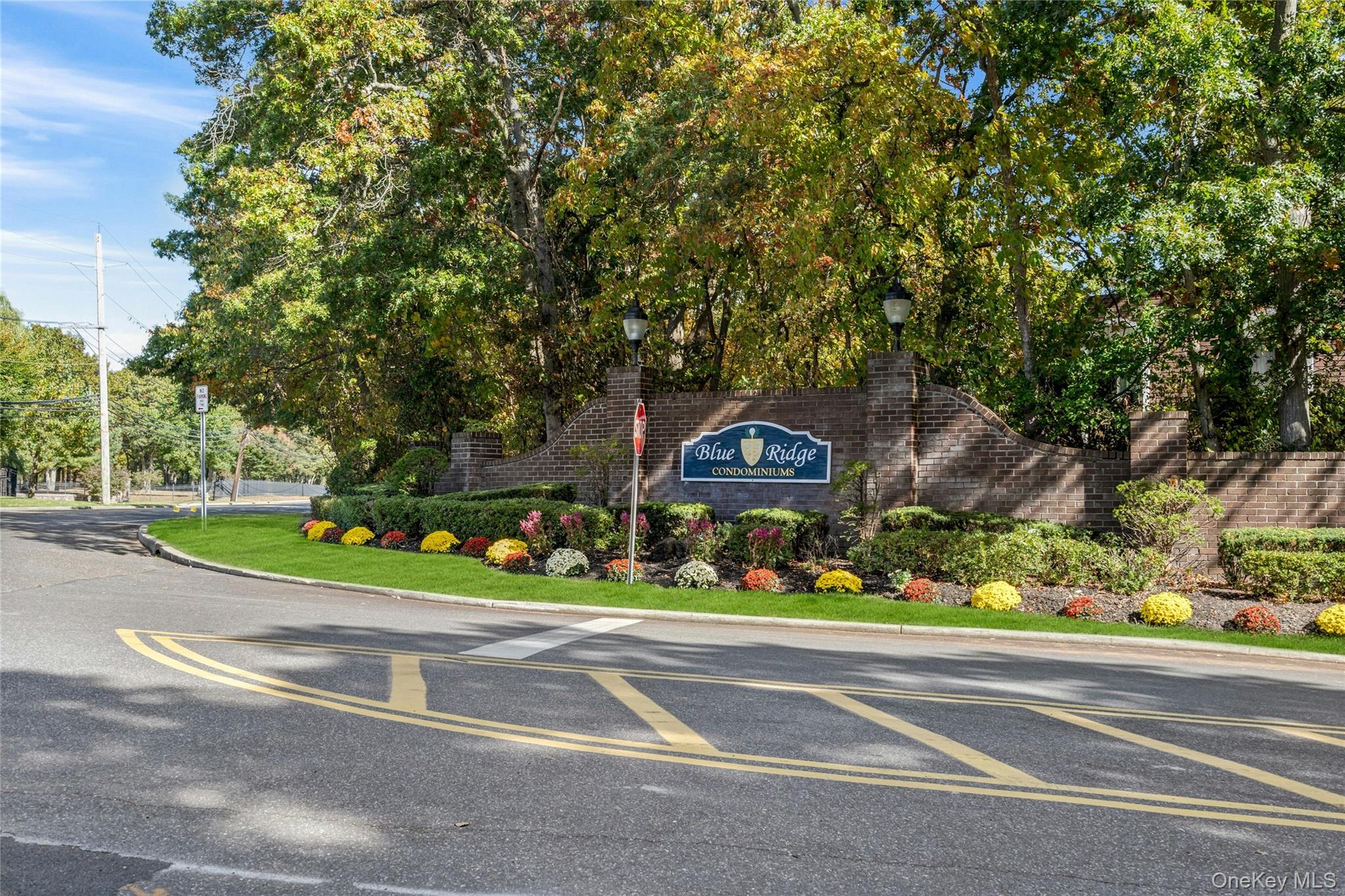 753 Blue Ridge Drive, Medford, NY 11763