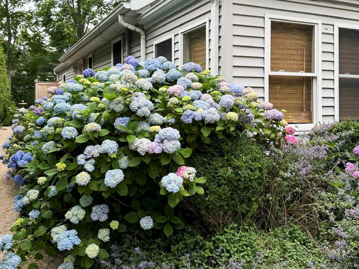 77 Hillcrest Avenue, Southampton, NY 11968