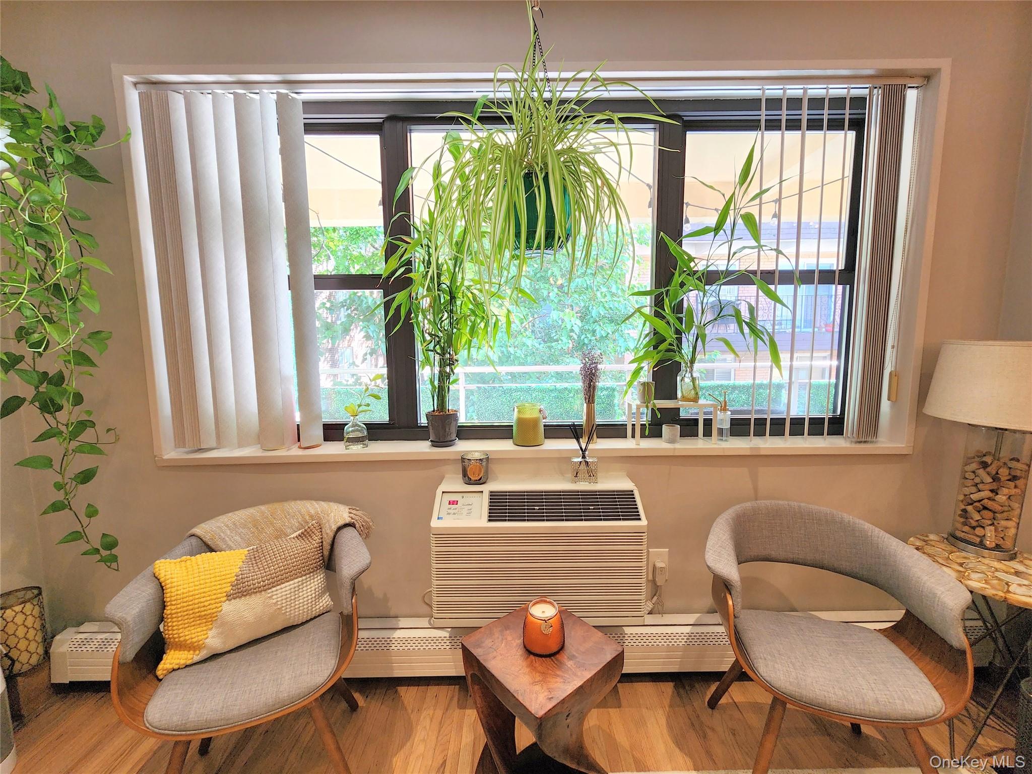 25 Park Place # 3R, Great Neck Plaza, NY 11021