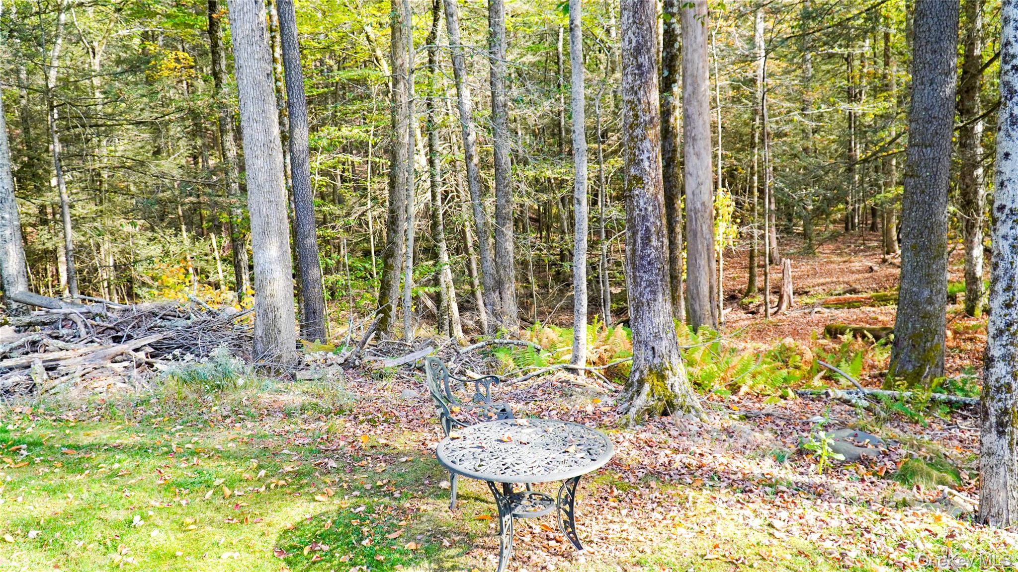 186 Schumway Road, Neversink, NY 12765