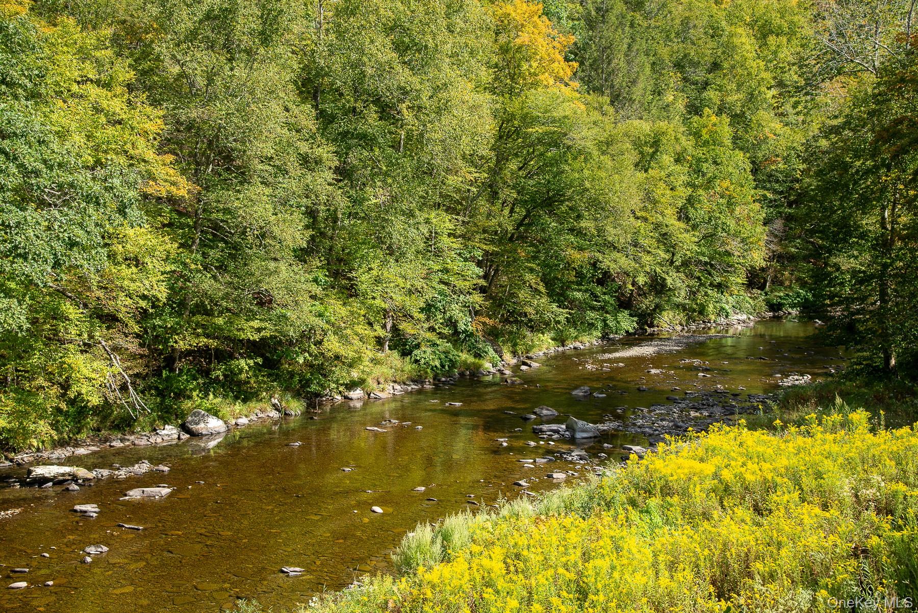 1009 Beaverkill Road, Livingston Manor, NY 12758