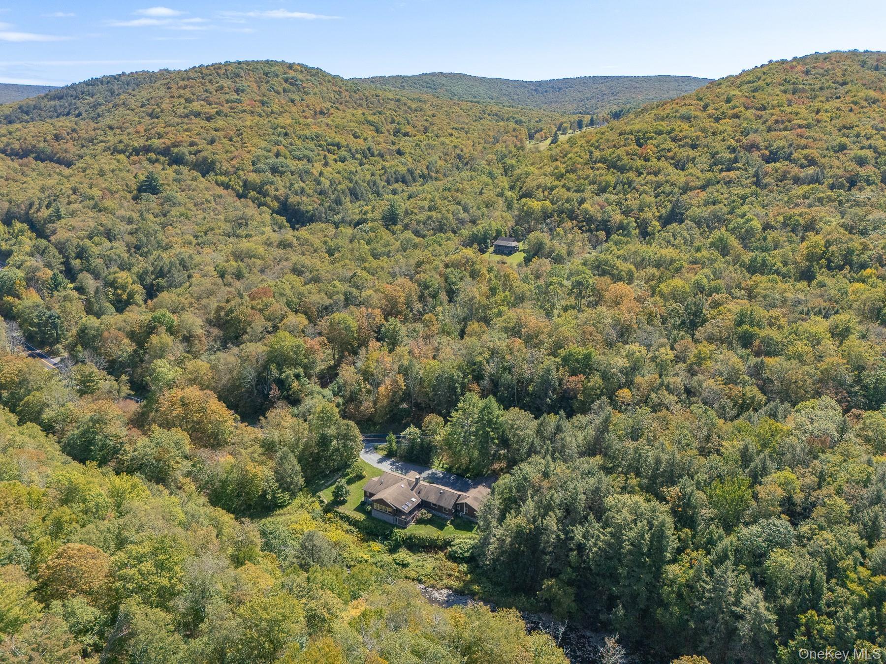 1009 Beaverkill Road, Livingston Manor, NY 12758