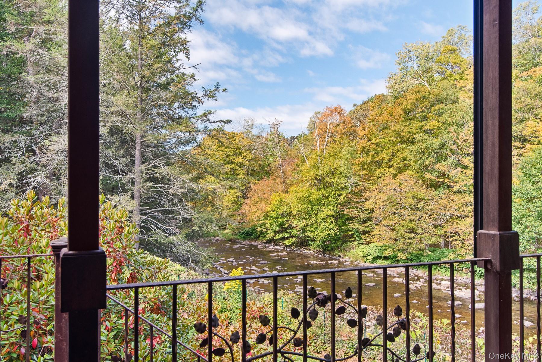 1009 Beaverkill Road, Livingston Manor, NY 12758