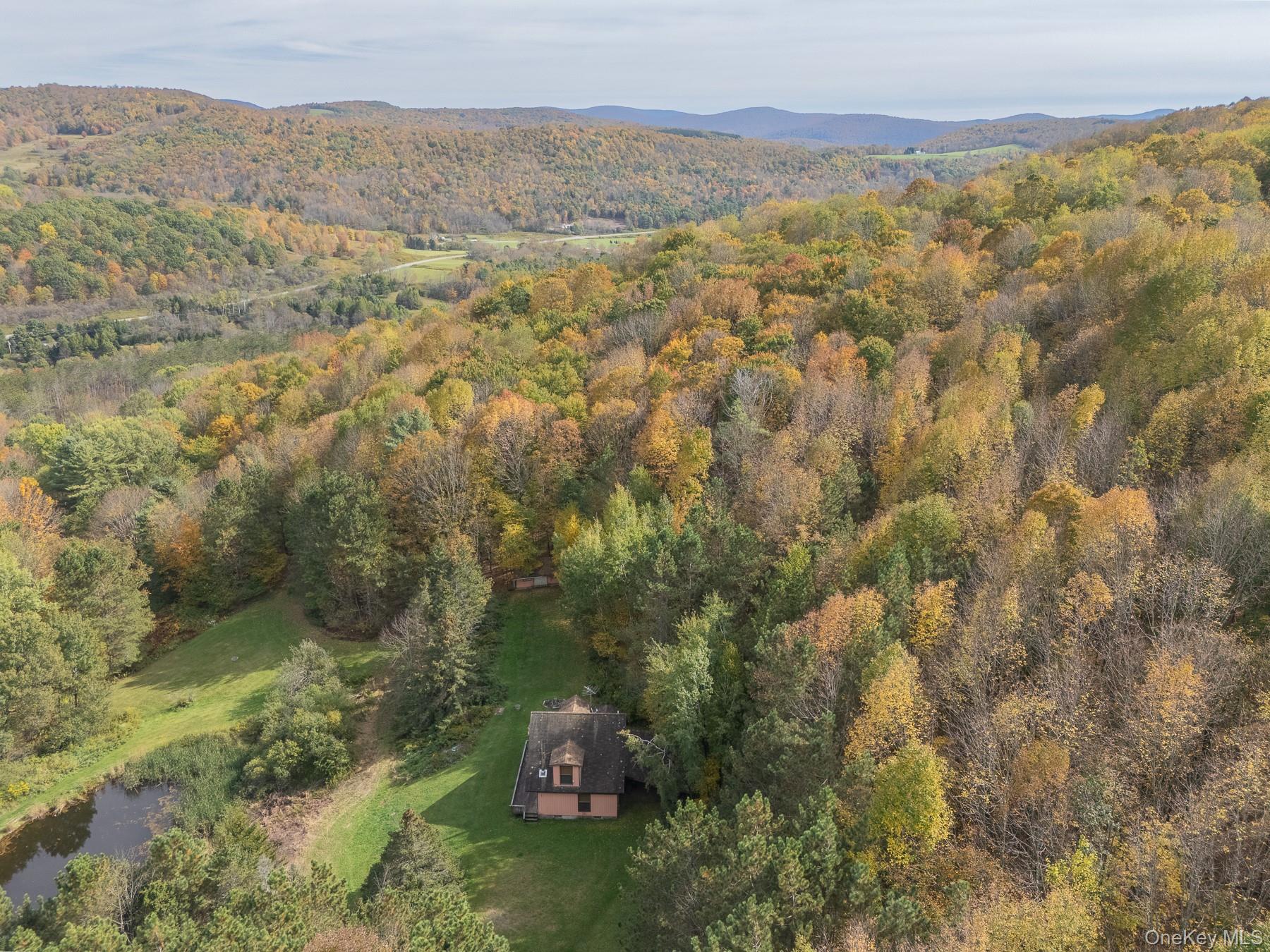 515 Magic Mountain Road, Bloomville, NY 13739