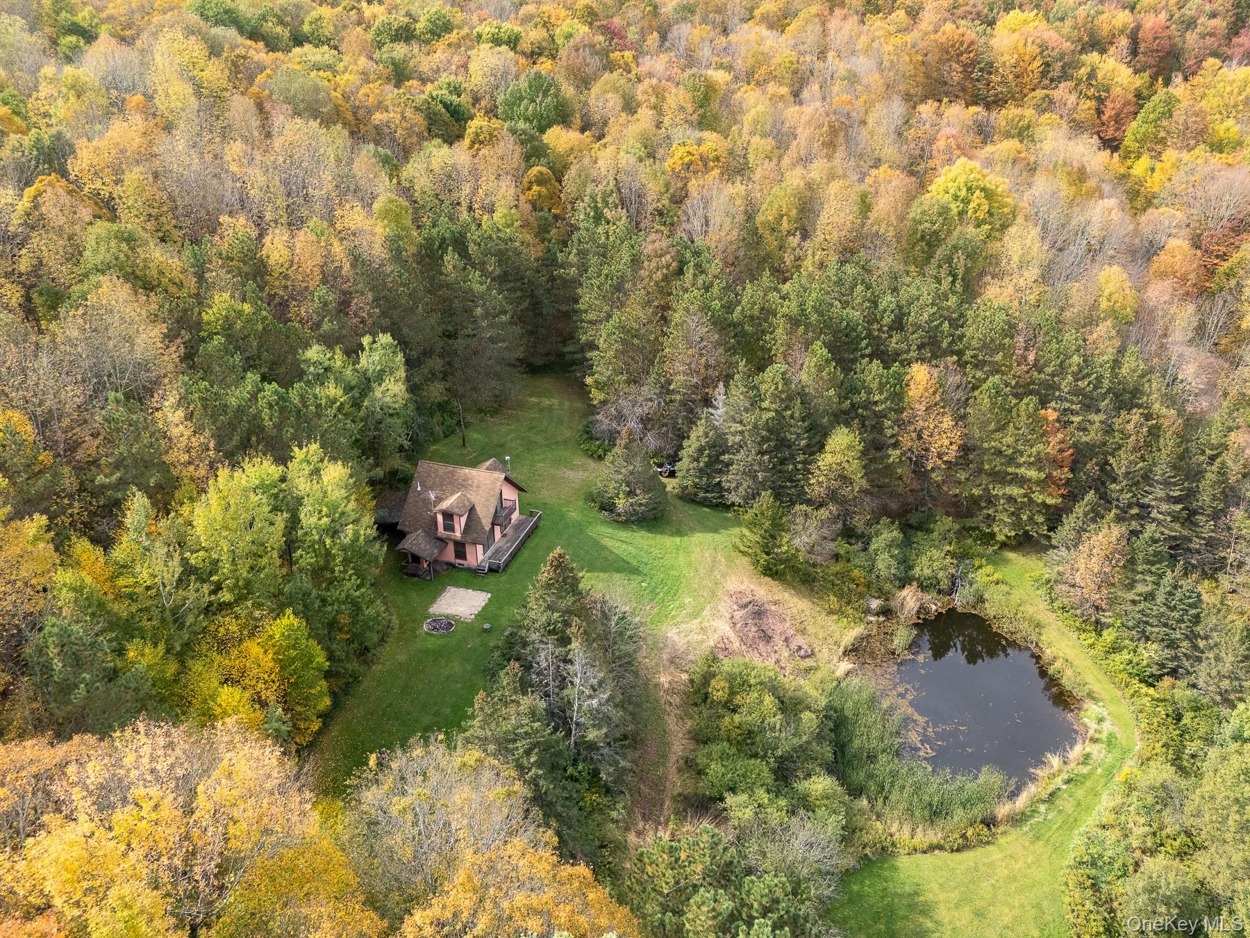 515 Magic Mountain Road, Bloomville, NY 13739