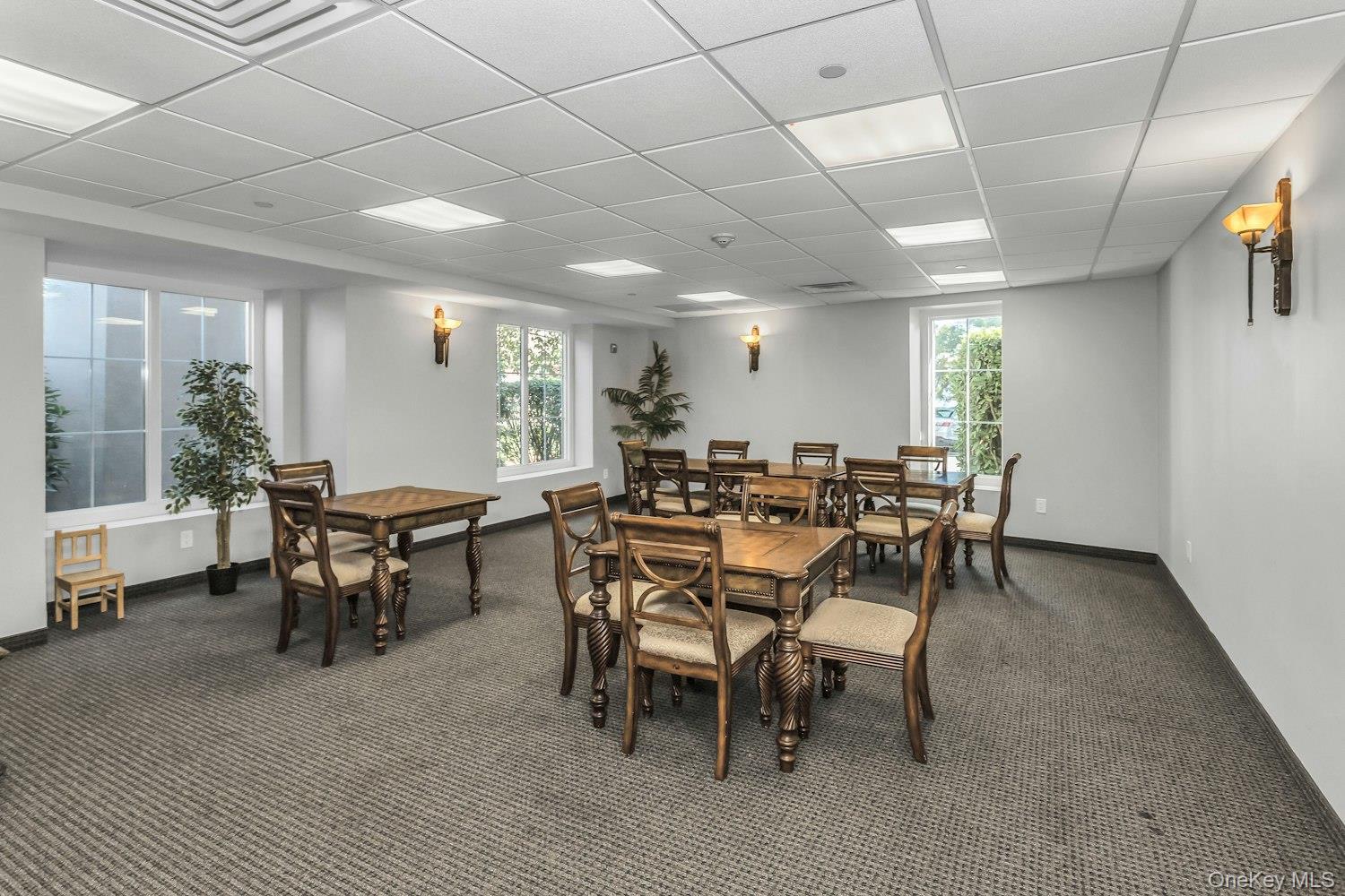 242 MAPLE Avenue # 513, Westbury, NY 11590