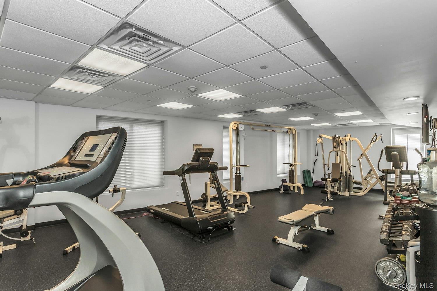 242 MAPLE Avenue # 513, Westbury, NY 11590