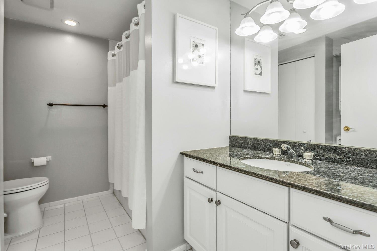 242 MAPLE Avenue # 513, Westbury, NY 11590