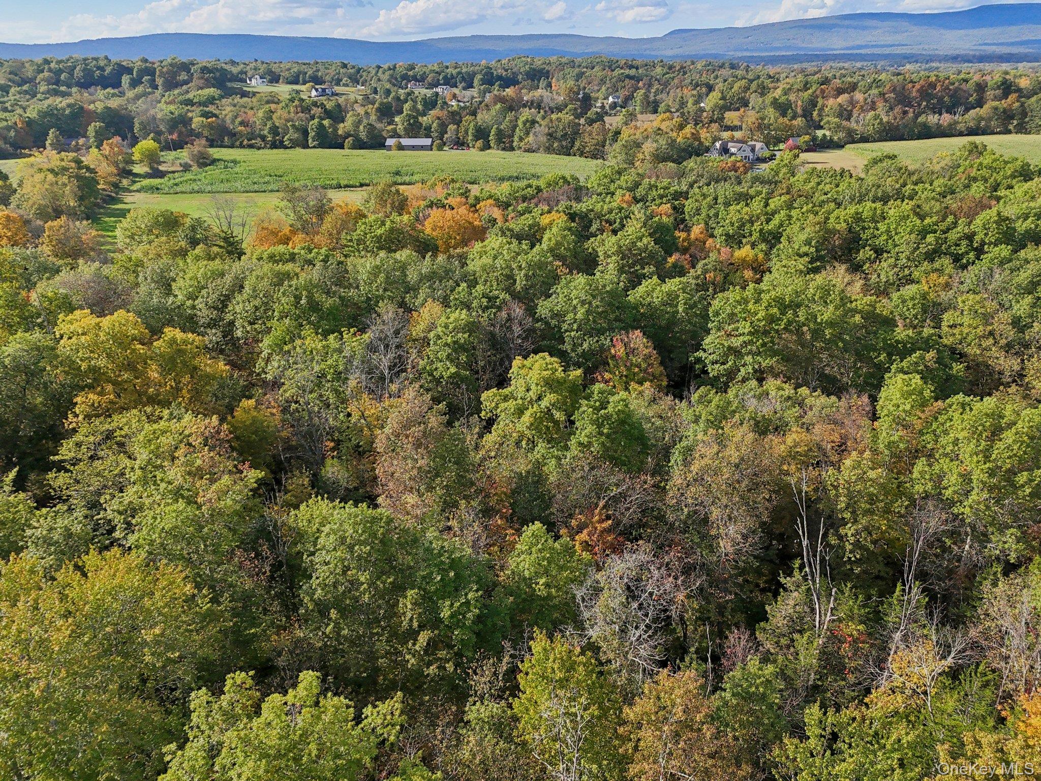 728 State Route 302, Pine Bush, NY 12566