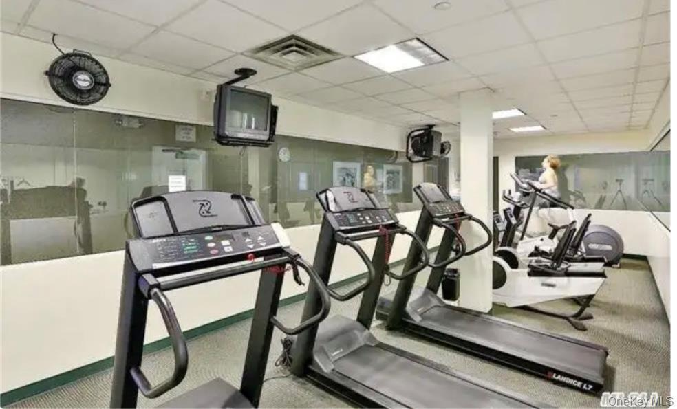 75 Eric Drive, Middle Island, NY 11953