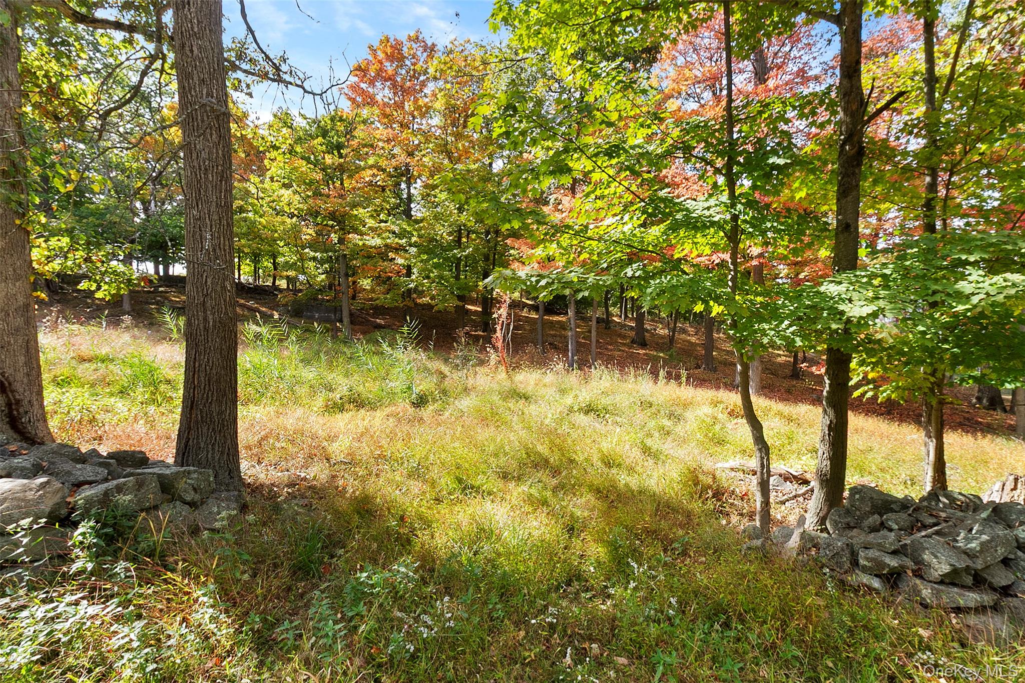 41 Schuyler Road, Blauvelt, NY 10960