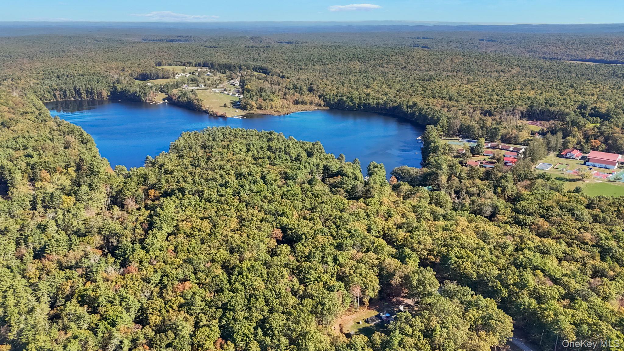 55 Ozeriany Road, Barryville, NY 12719