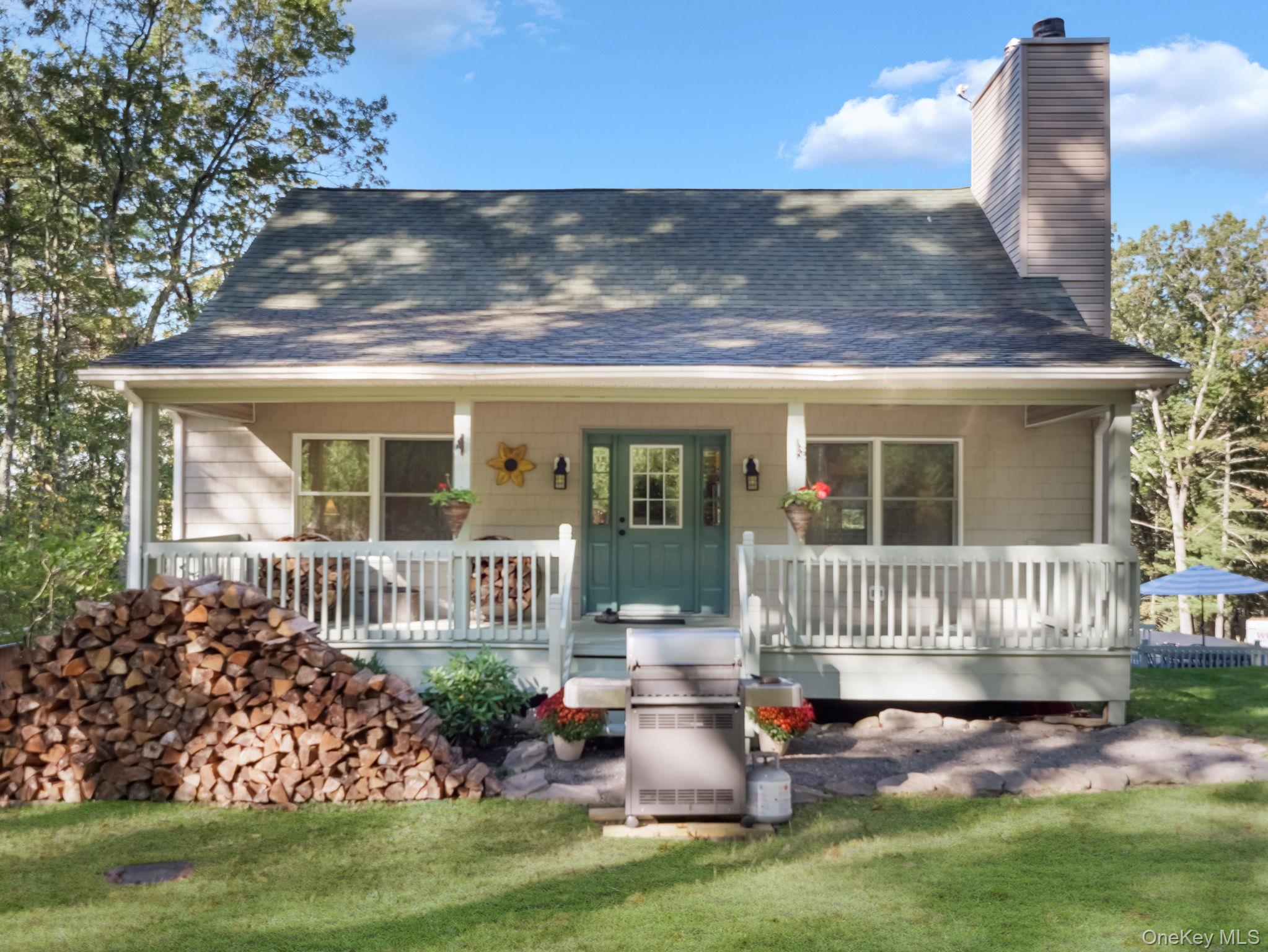 55 Ozeriany Road, Barryville, NY 12719