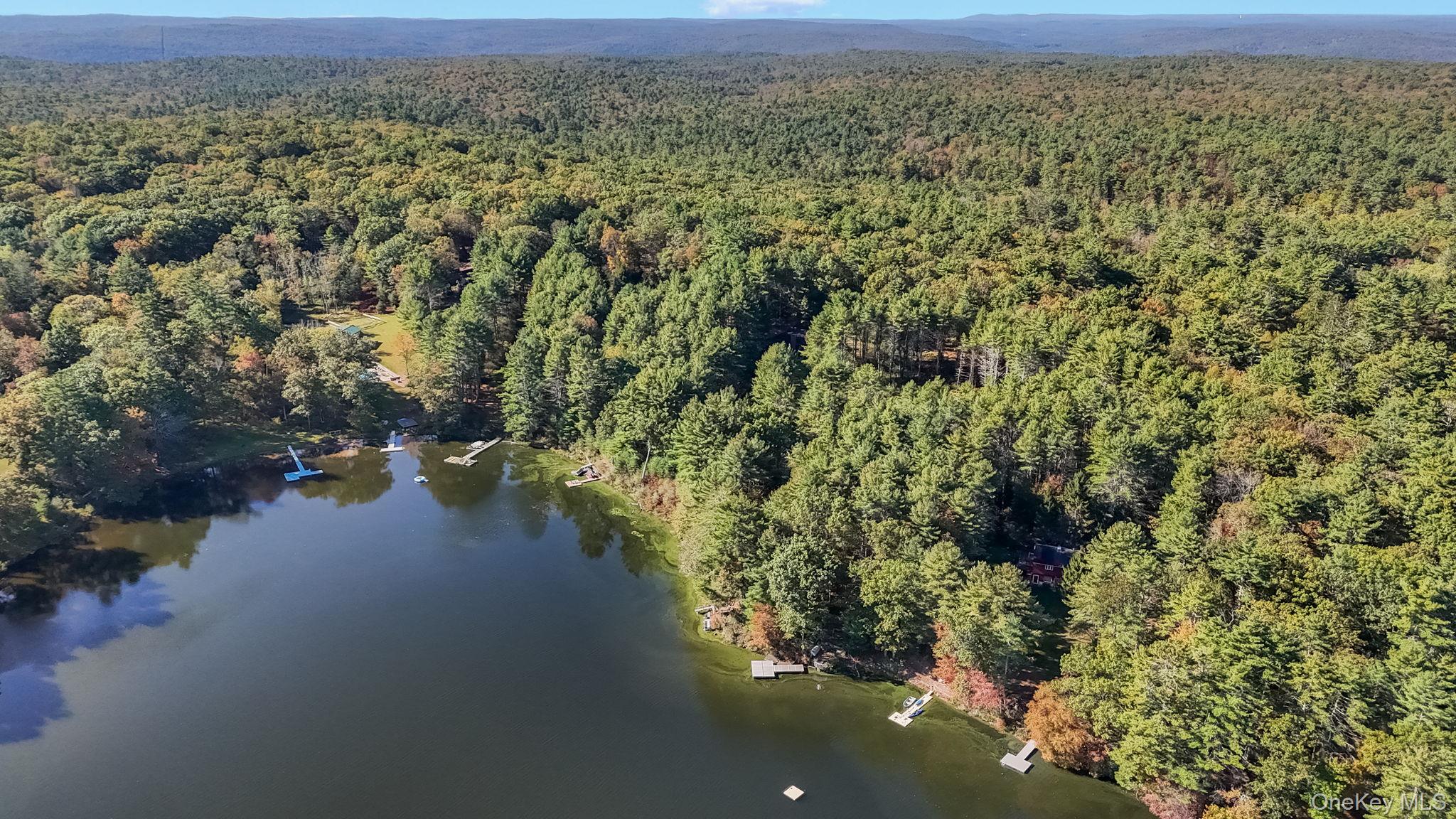 55 Ozeriany Road, Barryville, NY 12719