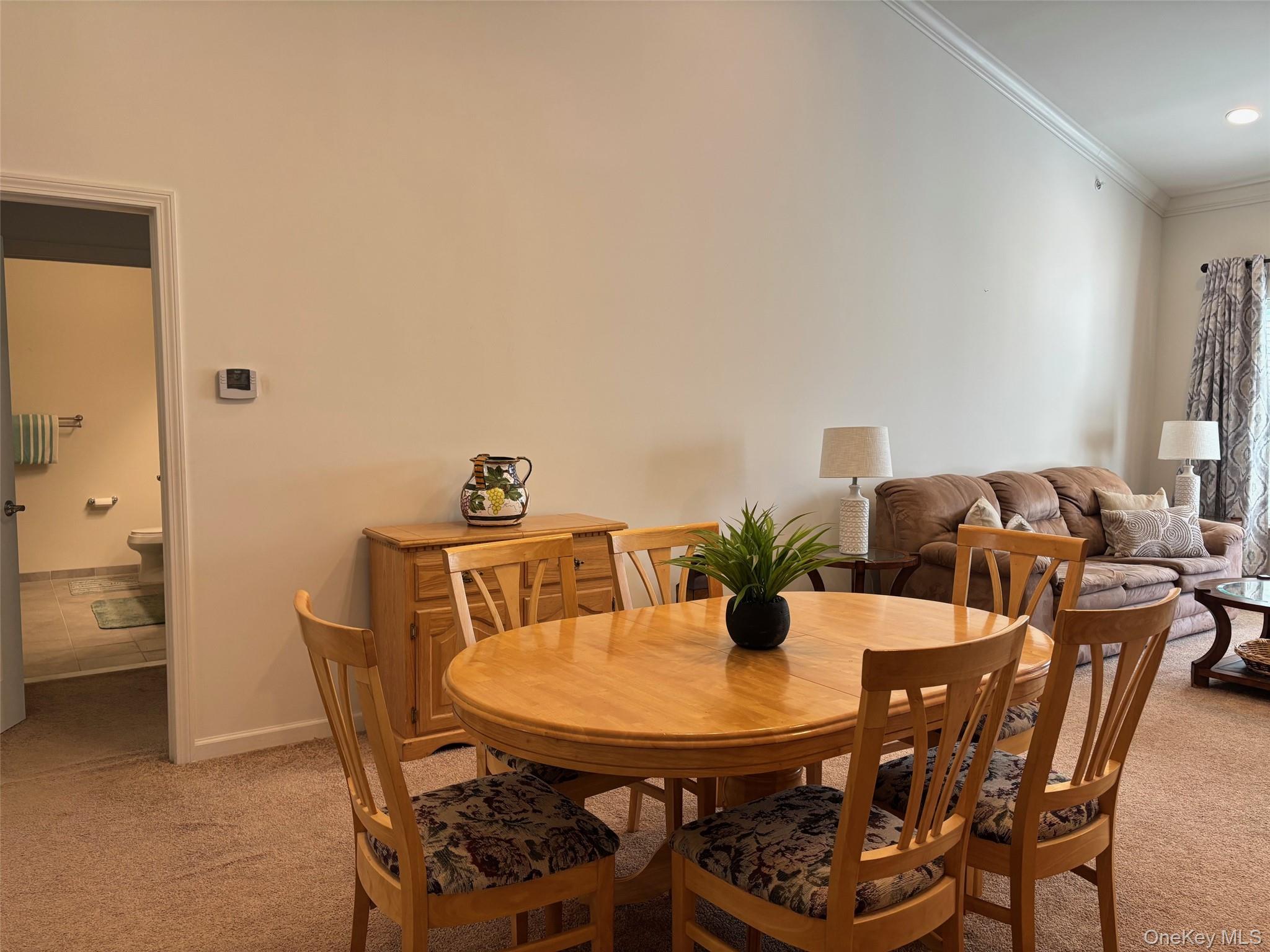 41 Greentree Court, Shirley, NY 11967