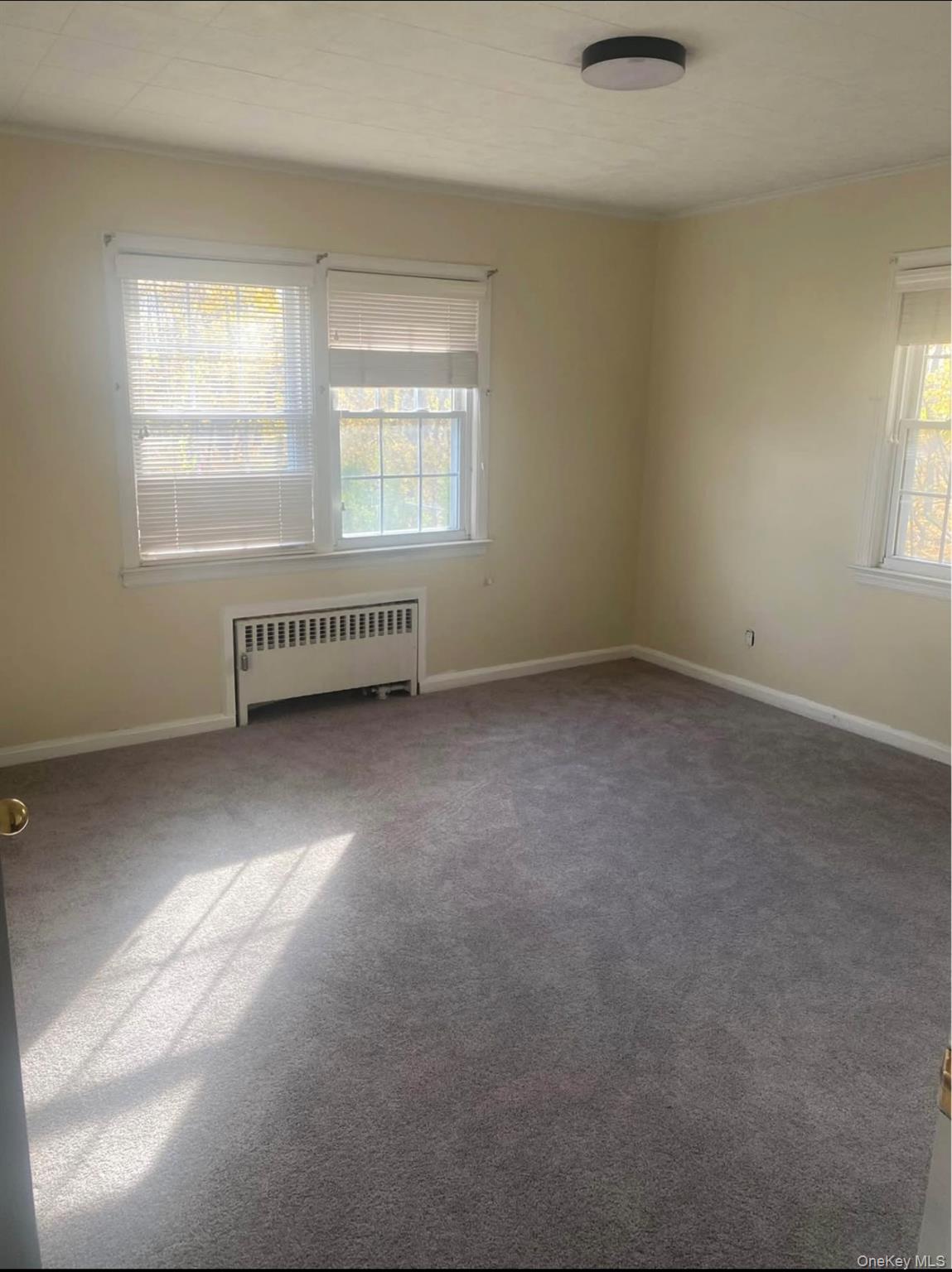 211 Mineola Avenue, Carle Place, NY 11514