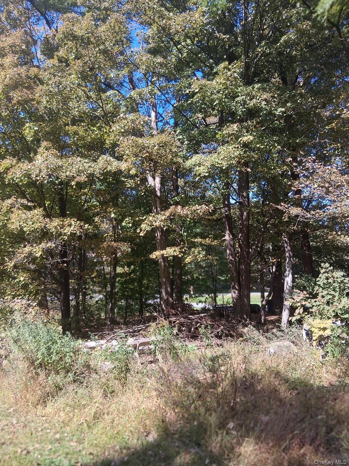 84 North Road, Red Hook, NY 12571