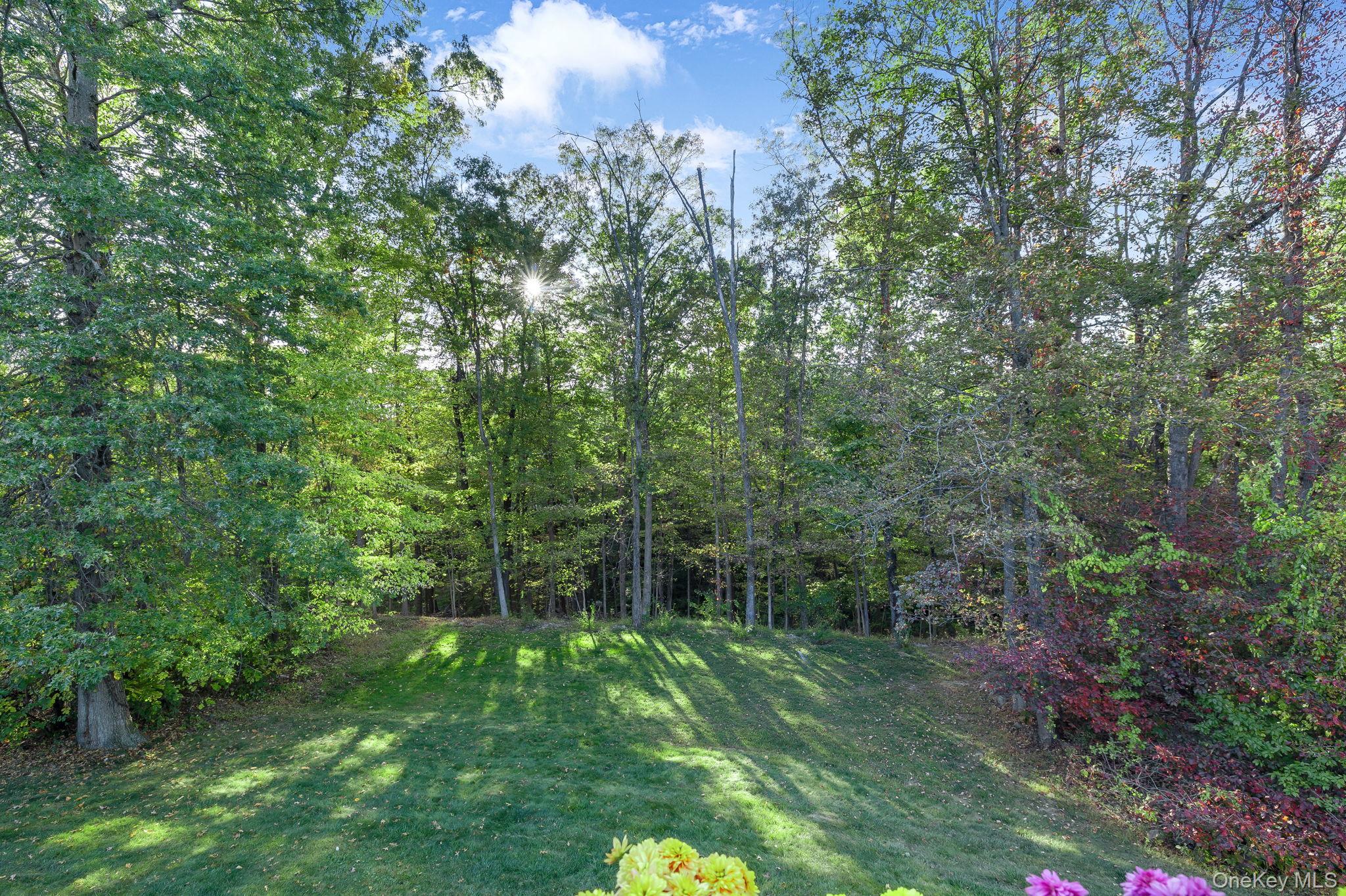 58 Red Maple Way, New Windsor, NY 12553