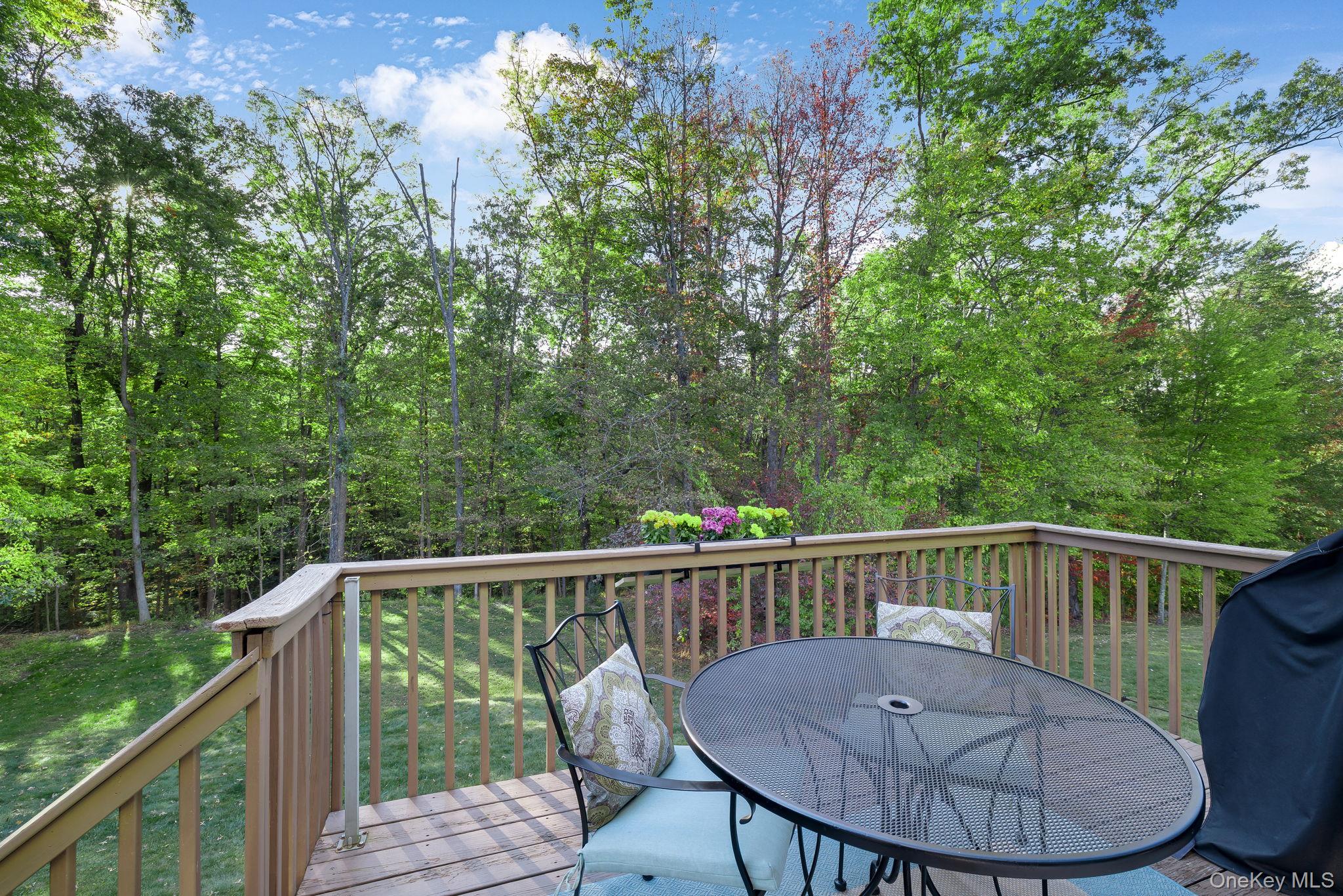 58 Red Maple Way, New Windsor, NY 12553