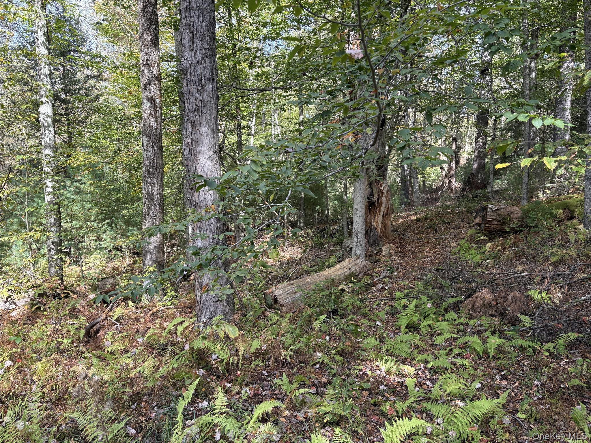 17 Lot 17 Desmond Crossing, Bethel, NY 12720