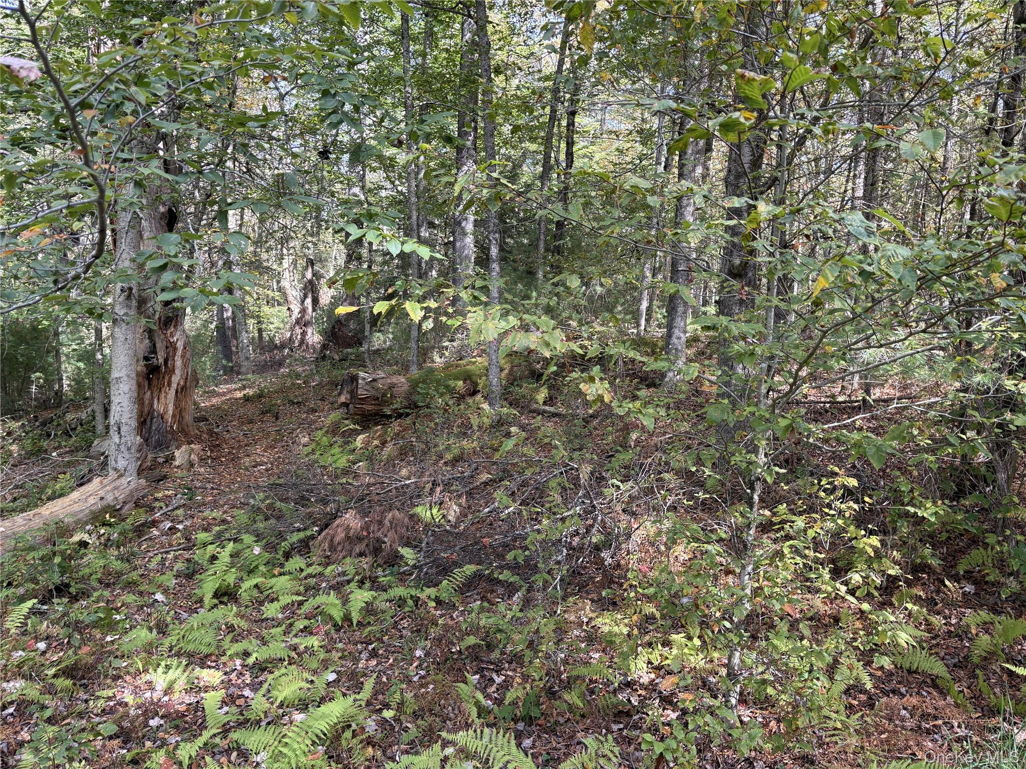 17 Lot 17 Desmond Crossing, Bethel, NY 12720