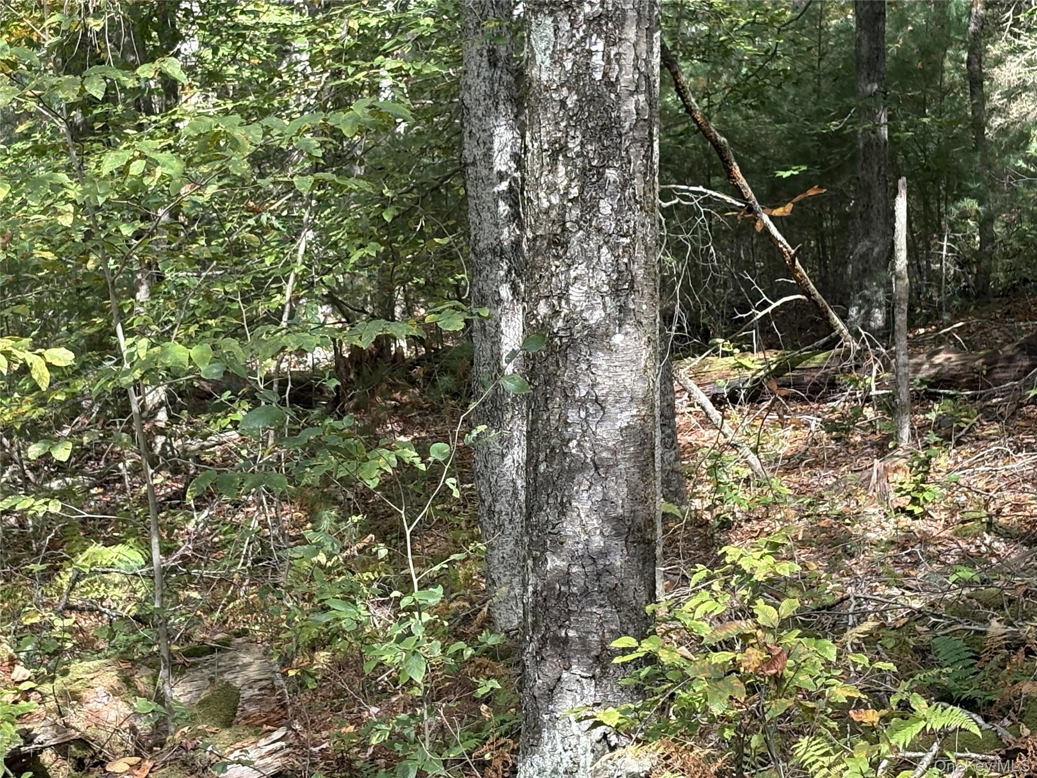 17 Lot 17 Desmond Crossing, Bethel, NY 12720