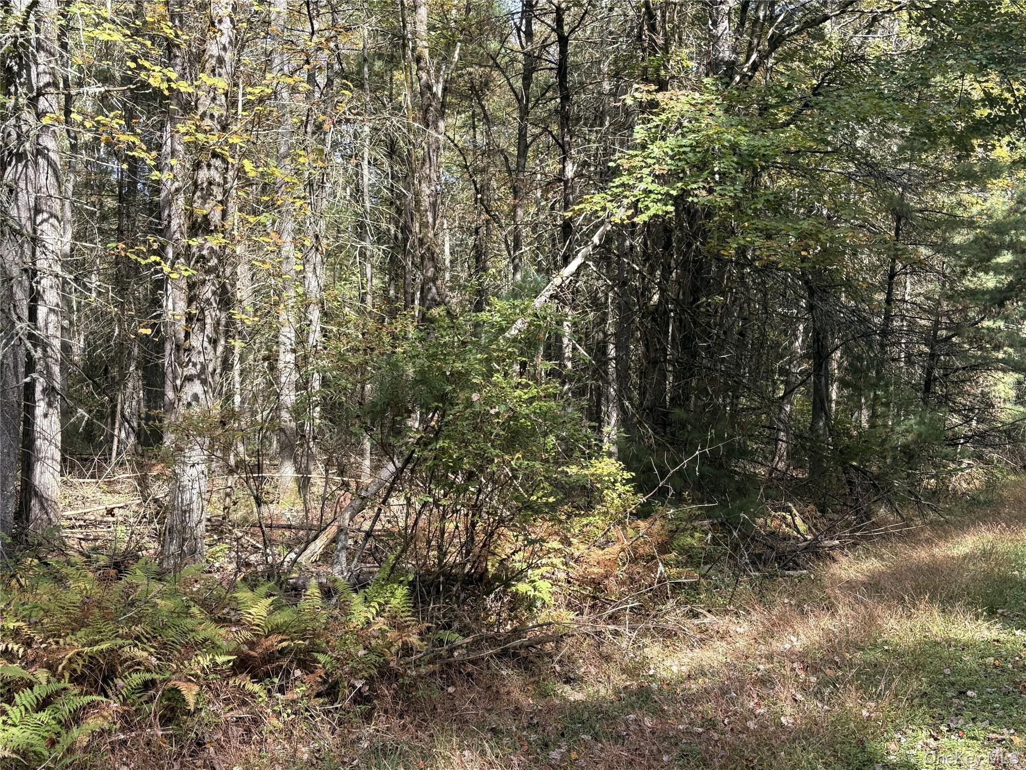 17 Lot 17 Desmond Crossing, Bethel, NY 12720