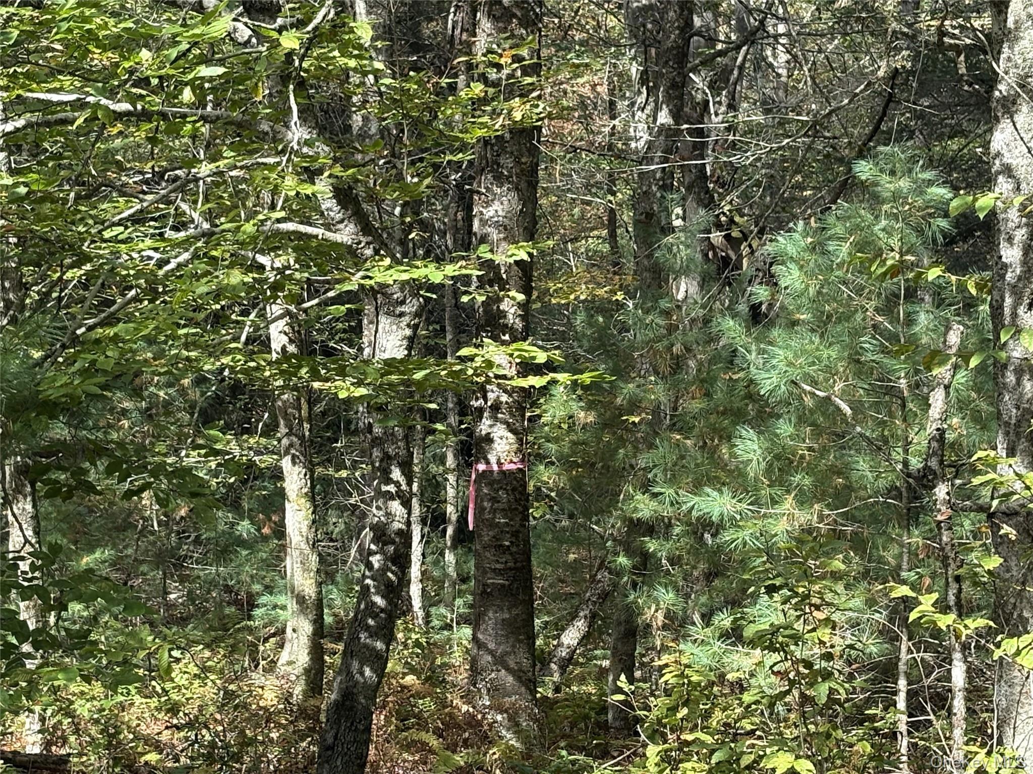 17 Lot 17 Desmond Crossing, Bethel, NY 12720