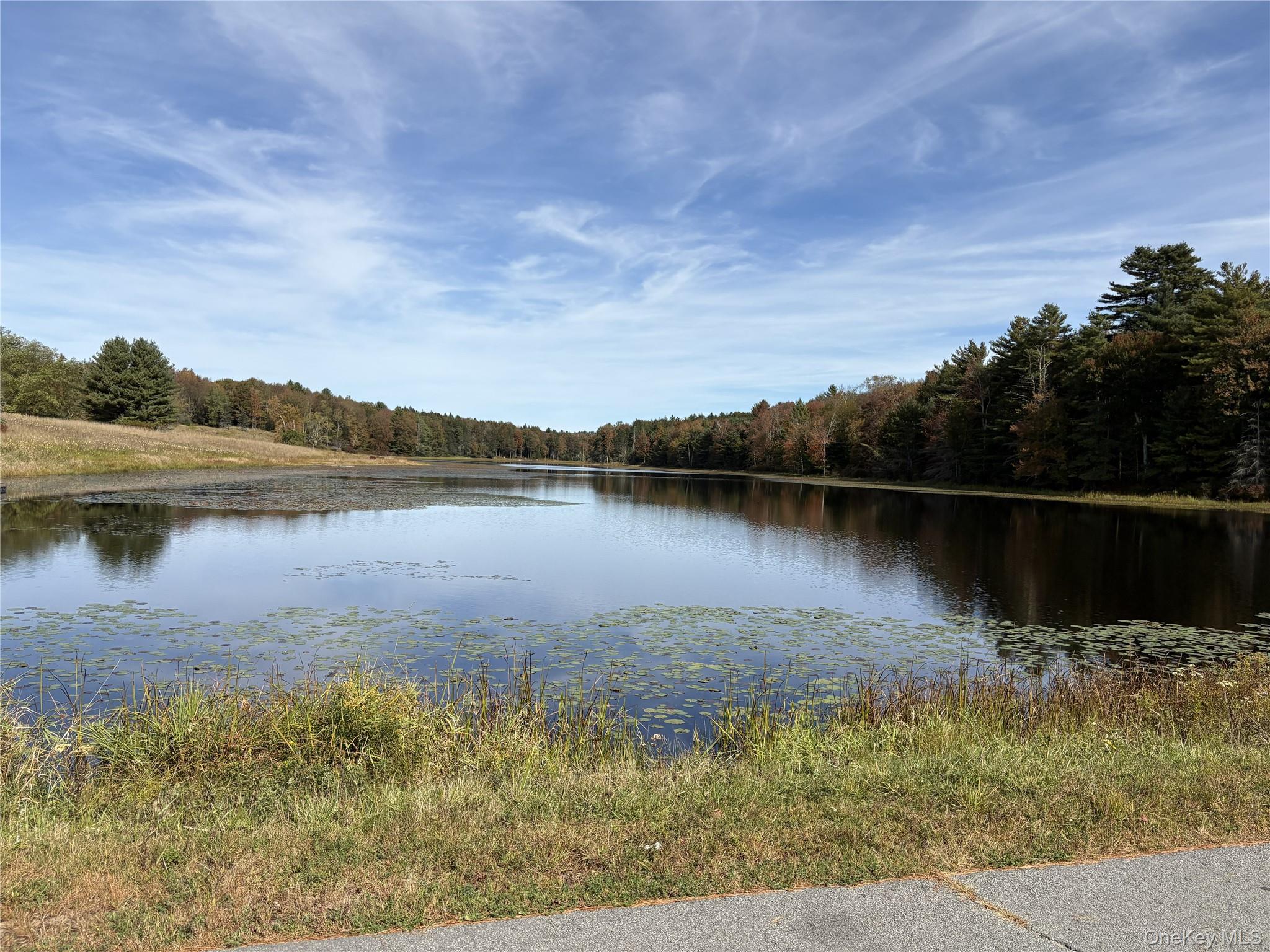 17 Lot 17 Desmond Crossing, Bethel, NY 12720