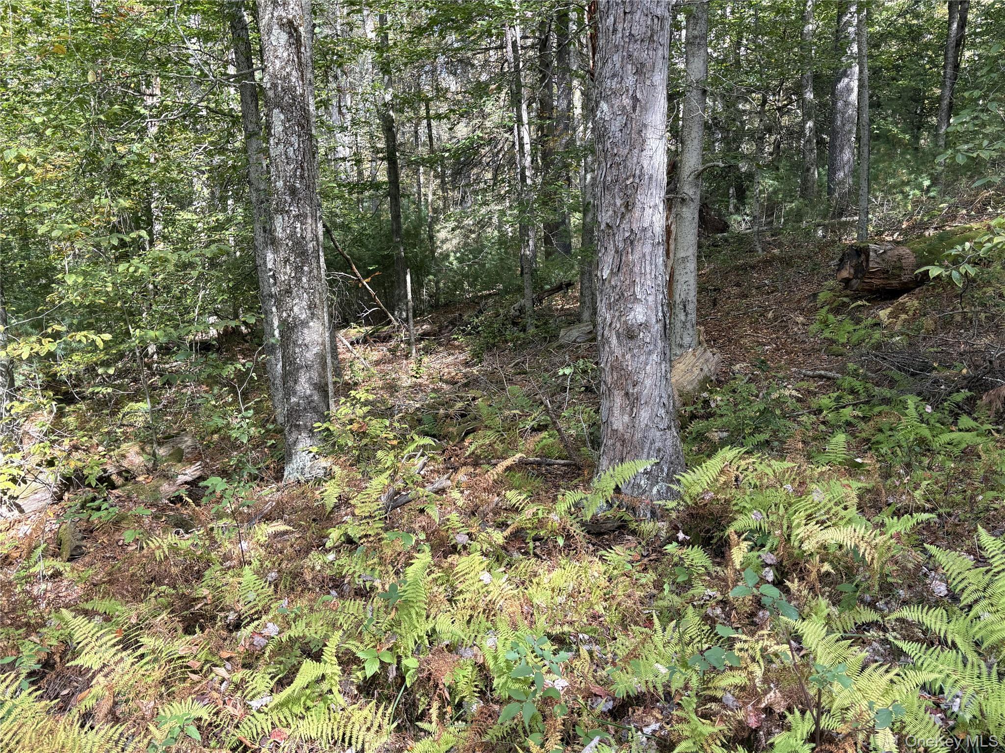 17 Lot 17 Desmond Crossing, Bethel, NY 12720