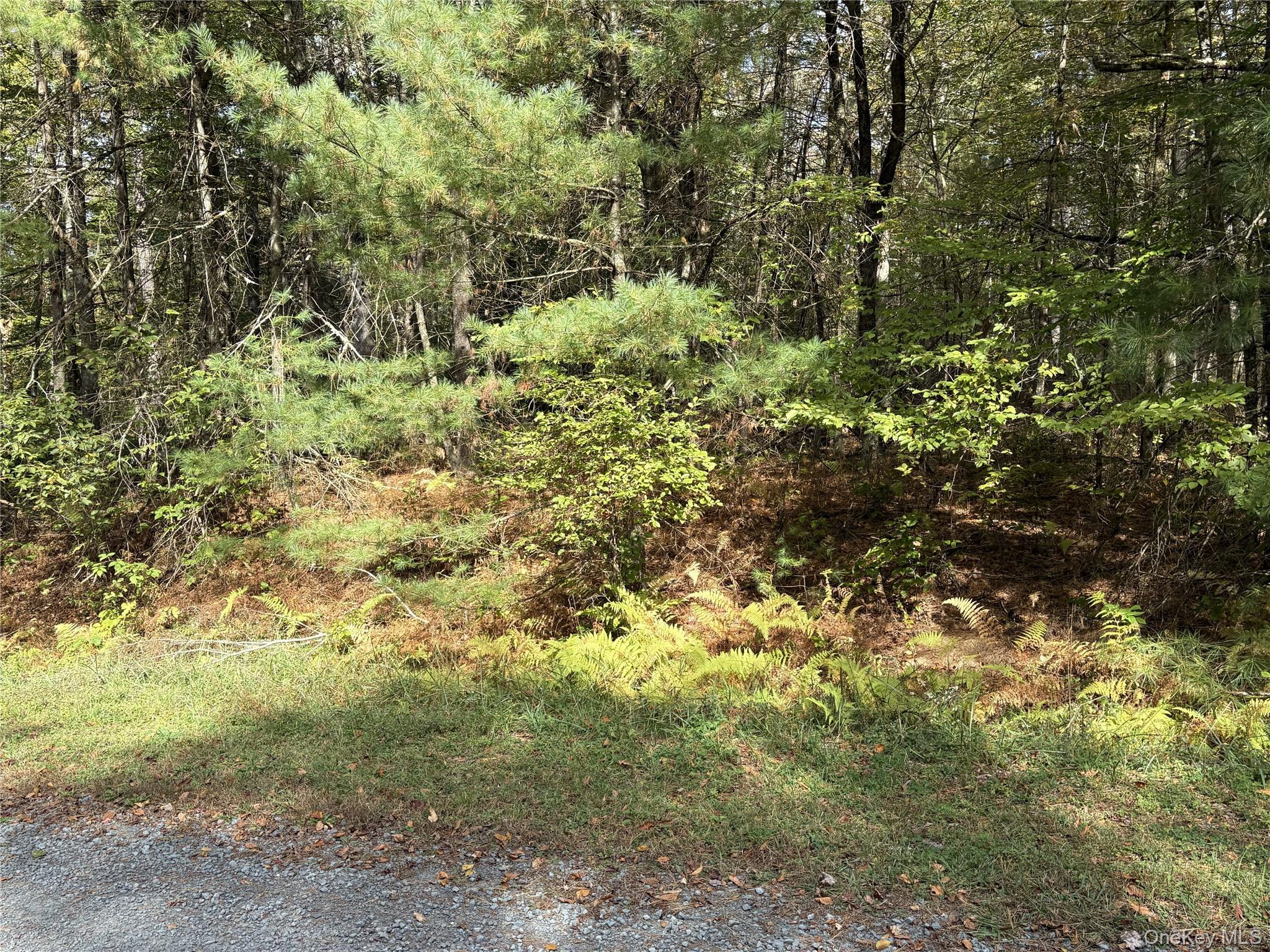 17 Lot 17 Desmond Crossing, Bethel, NY 12720