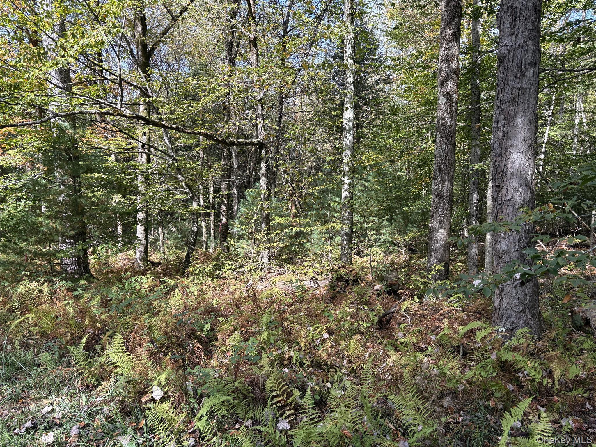 17 Lot 17 Desmond Crossing, Bethel, NY 12720