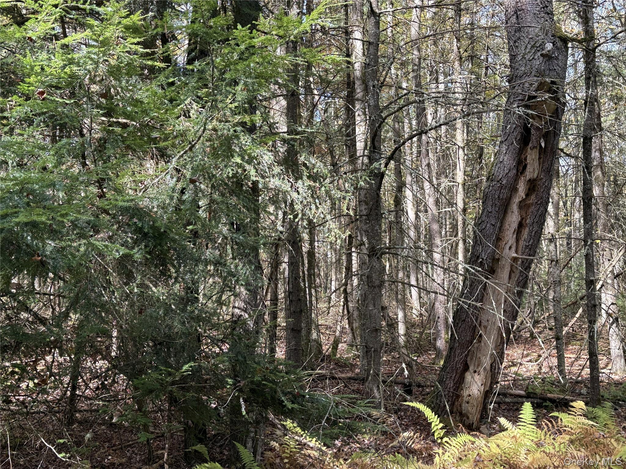 17 Lot 17 Desmond Crossing, Bethel, NY 12720