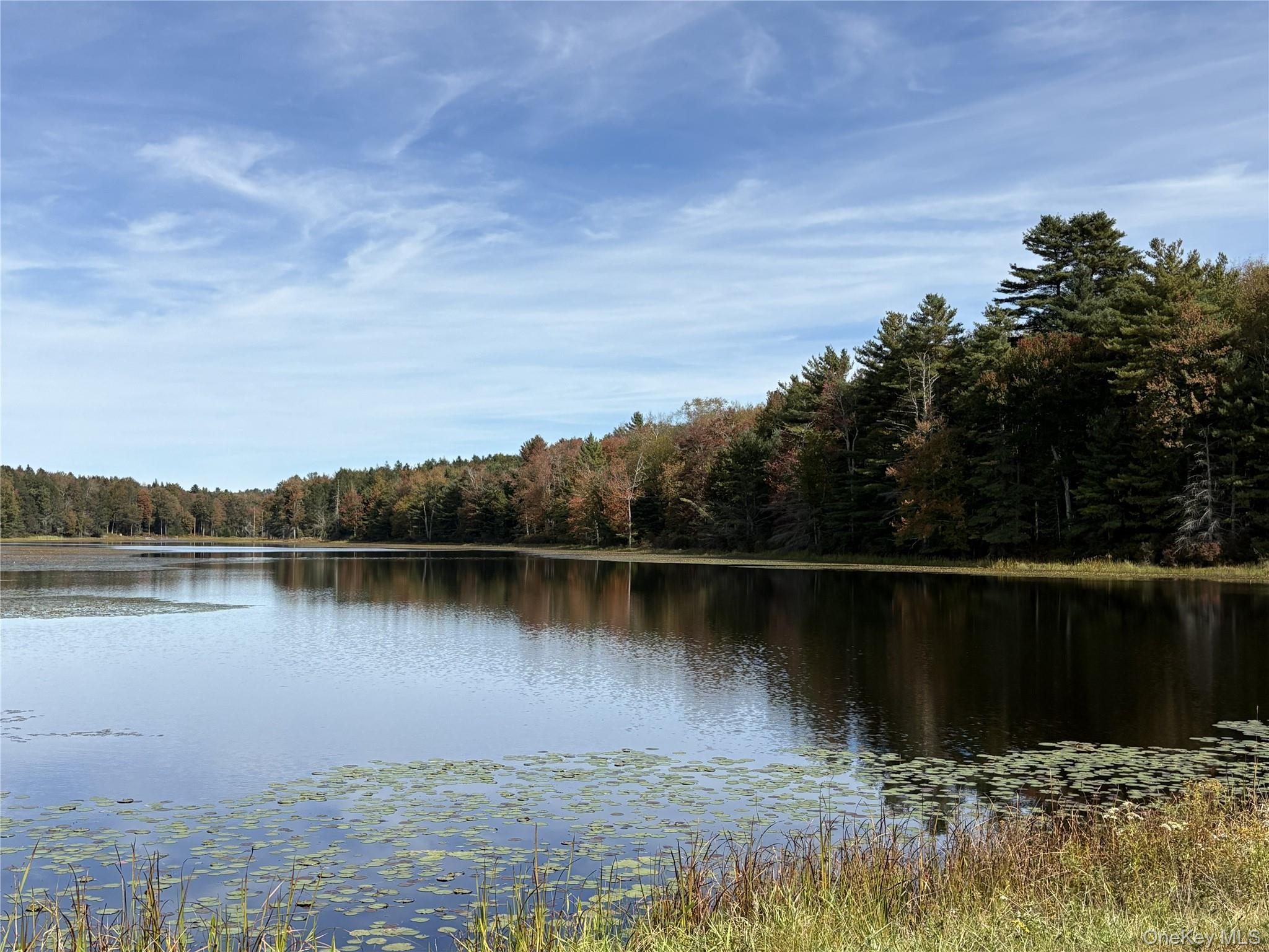 17 Lot 17 Desmond Crossing, Bethel, NY 12720